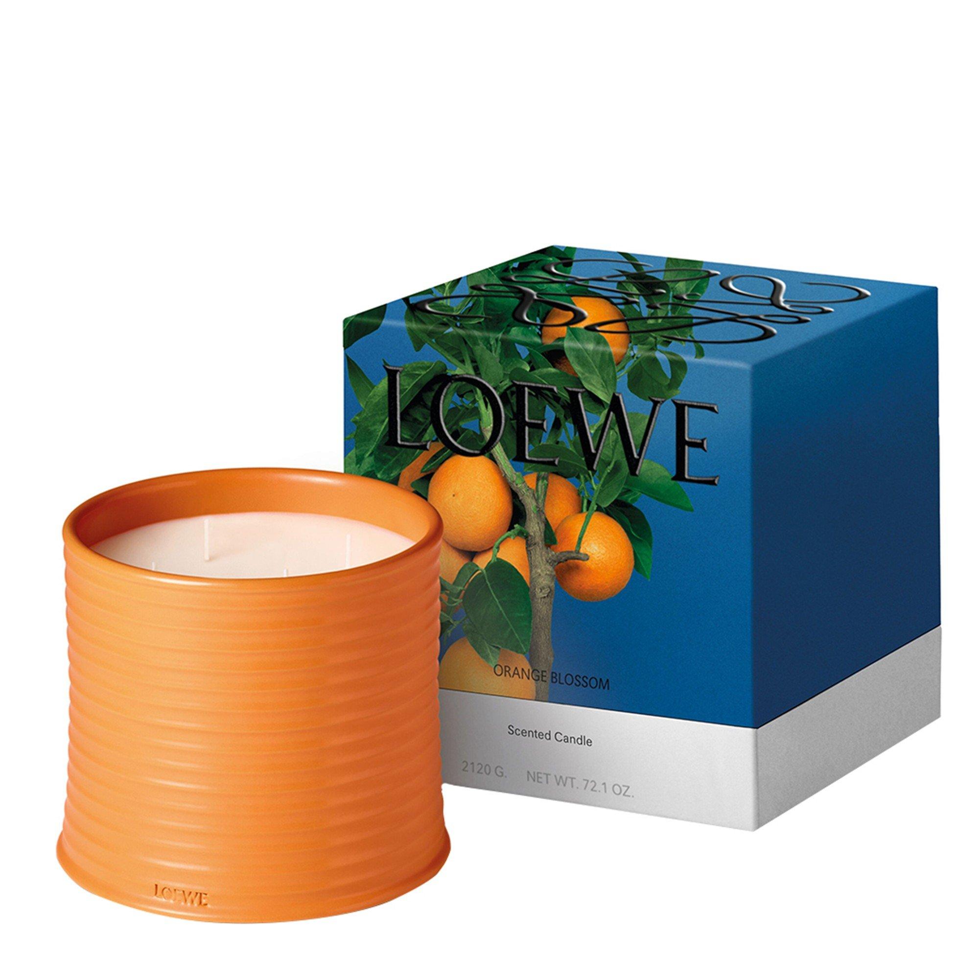 Not Applicable - Loewe - LARGE ORANGE BLOSSOM CAND - 6