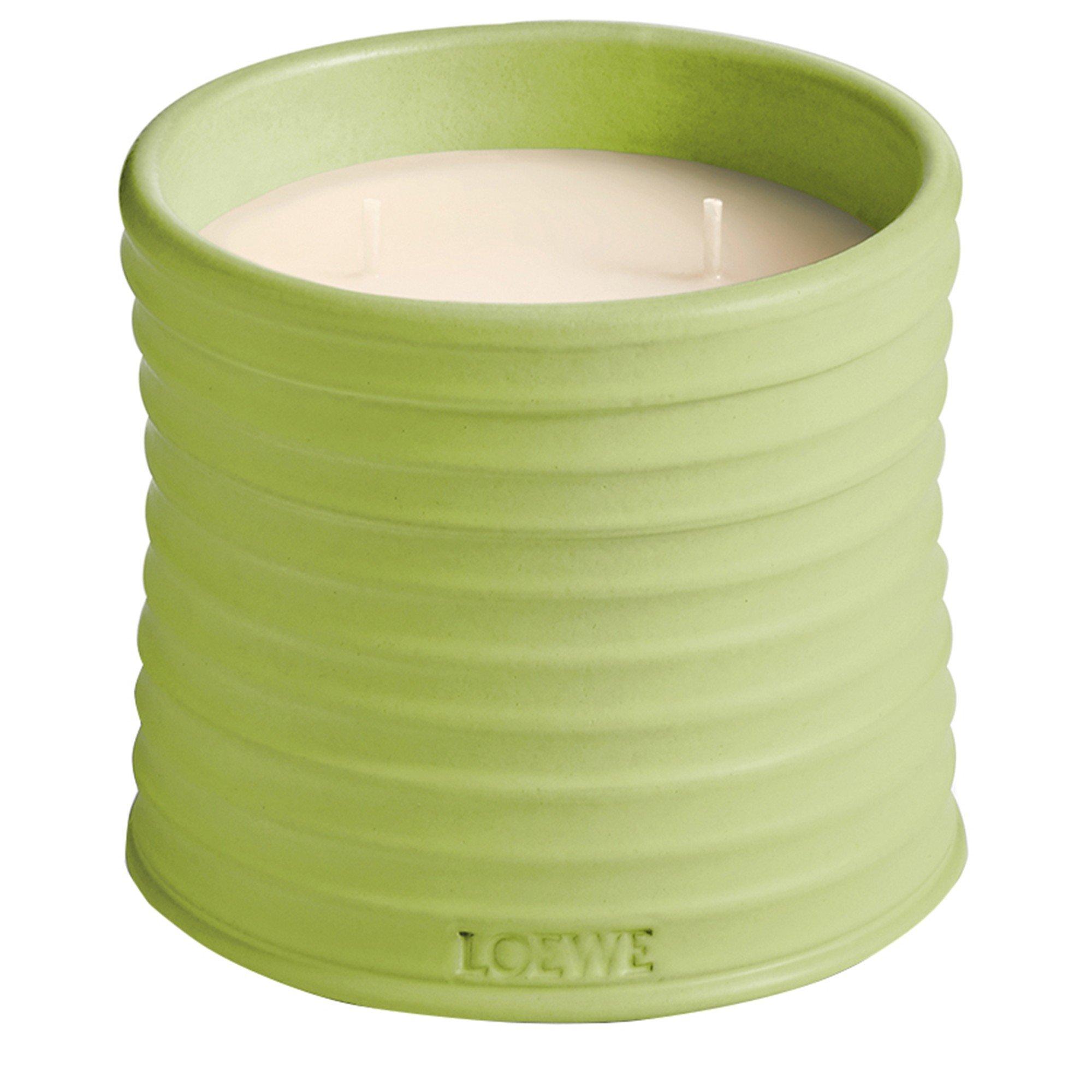 Loewe MEDIUM CUCUMBER CANDLE