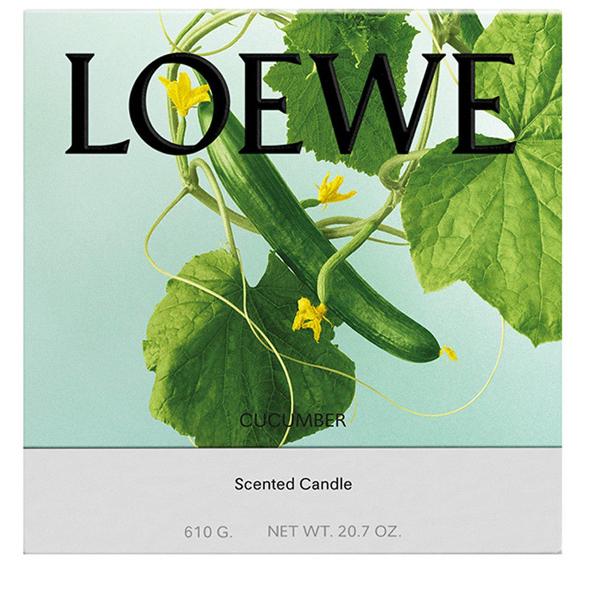 Not Applicable - Loewe - MEDIUM CUCUMBER CANDLE - 2