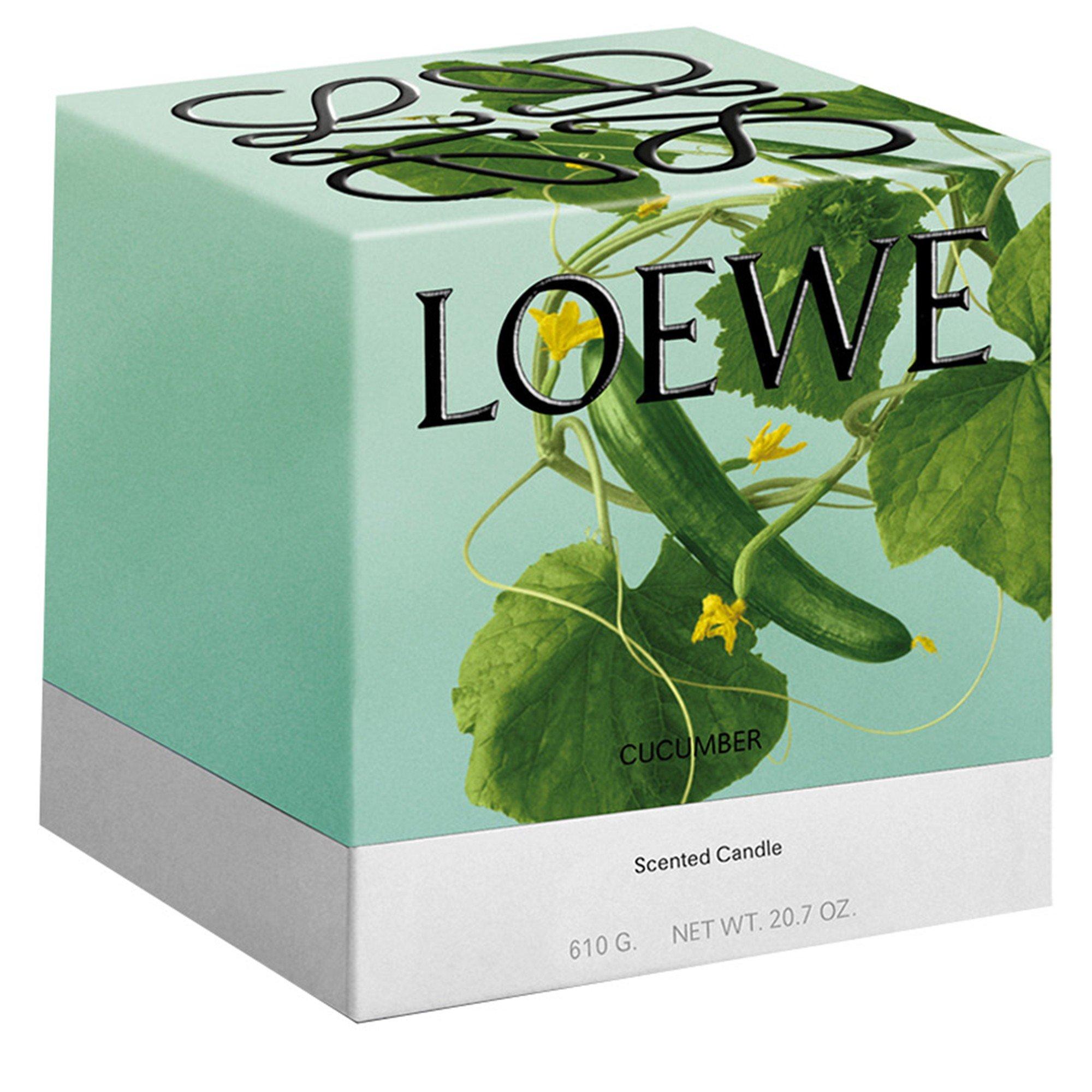 Not Applicable - Loewe - MEDIUM CUCUMBER CANDLE - 3