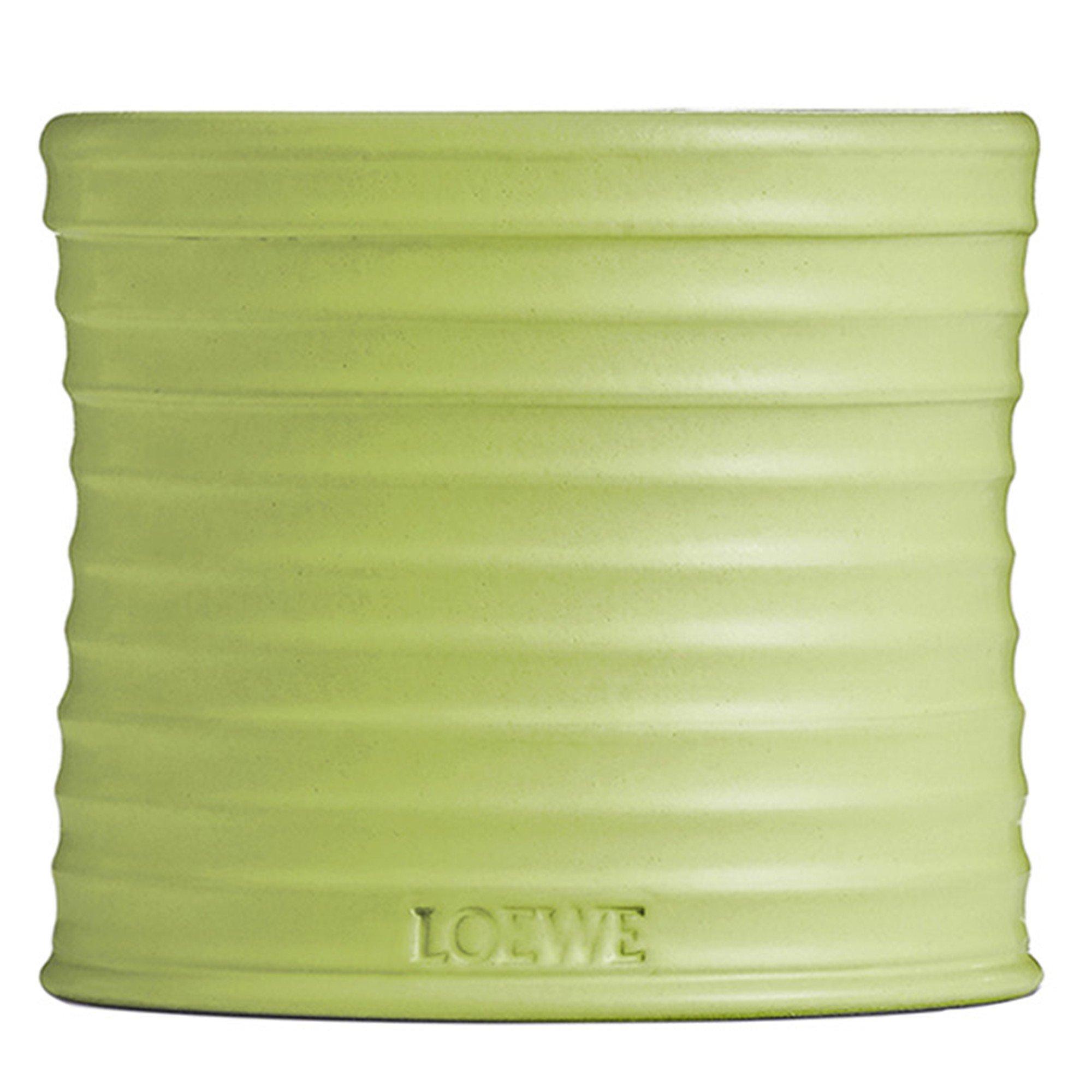 Not Applicable - Loewe - MEDIUM CUCUMBER CANDLE - 4