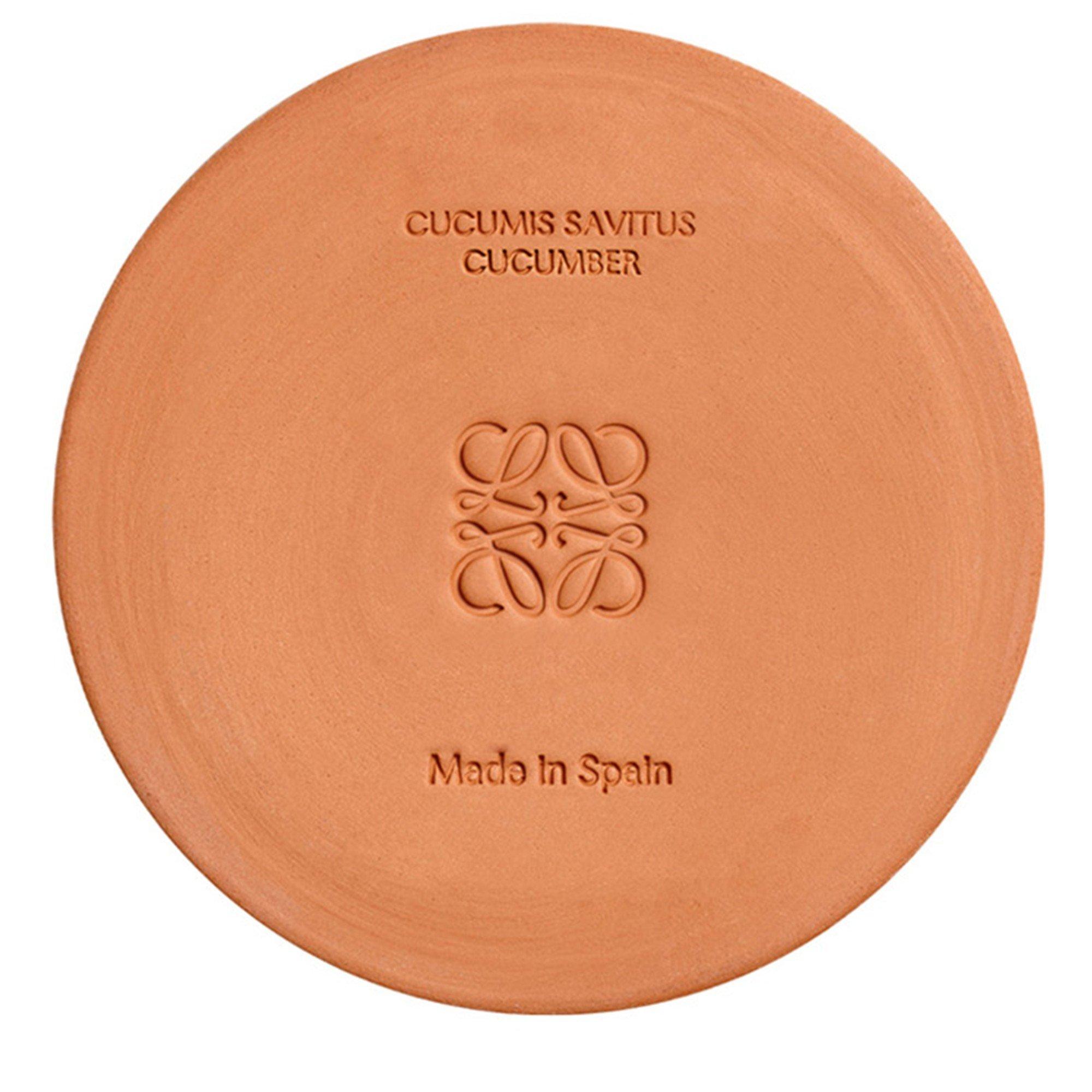 Not Applicable - Loewe - MEDIUM CUCUMBER CANDLE - 5