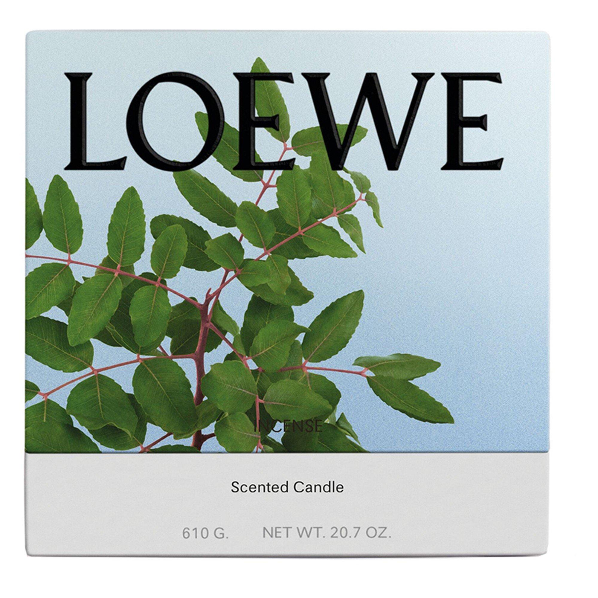 Not Applicable - Loewe - MEDIUM INCENSE CANDLE - 2