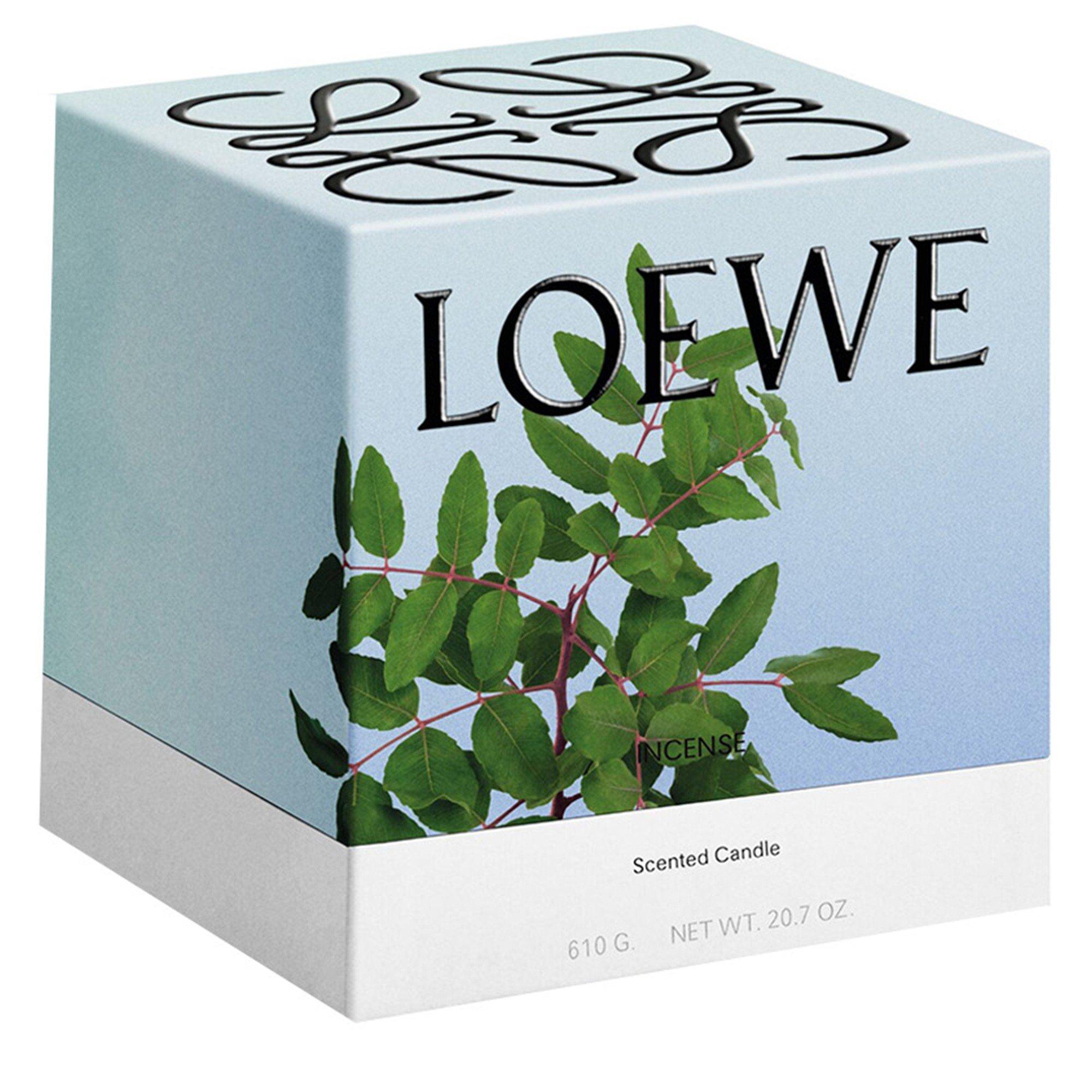 Not Applicable - Loewe - MEDIUM INCENSE CANDLE - 3