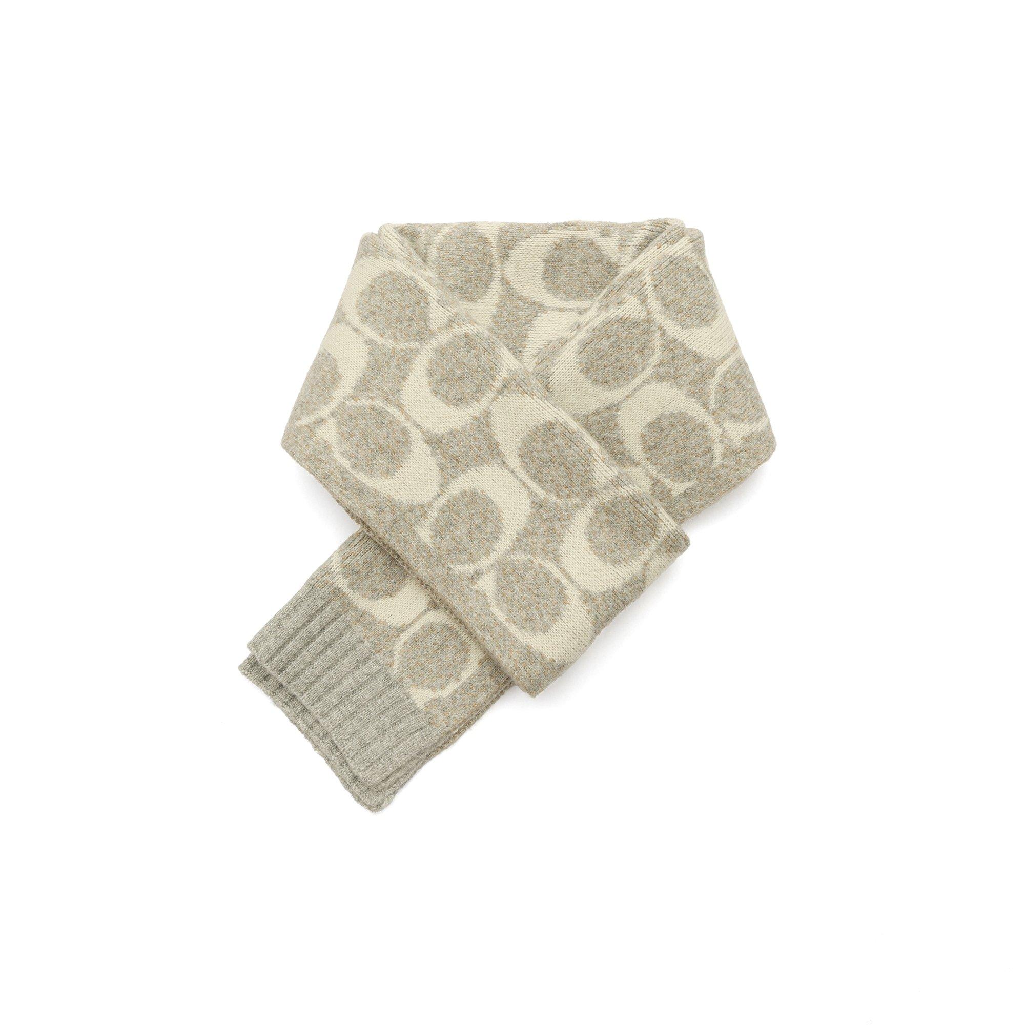 GREY BIRCH - Coach - COACH JUMBO SIGNATURE C SCARF - 2