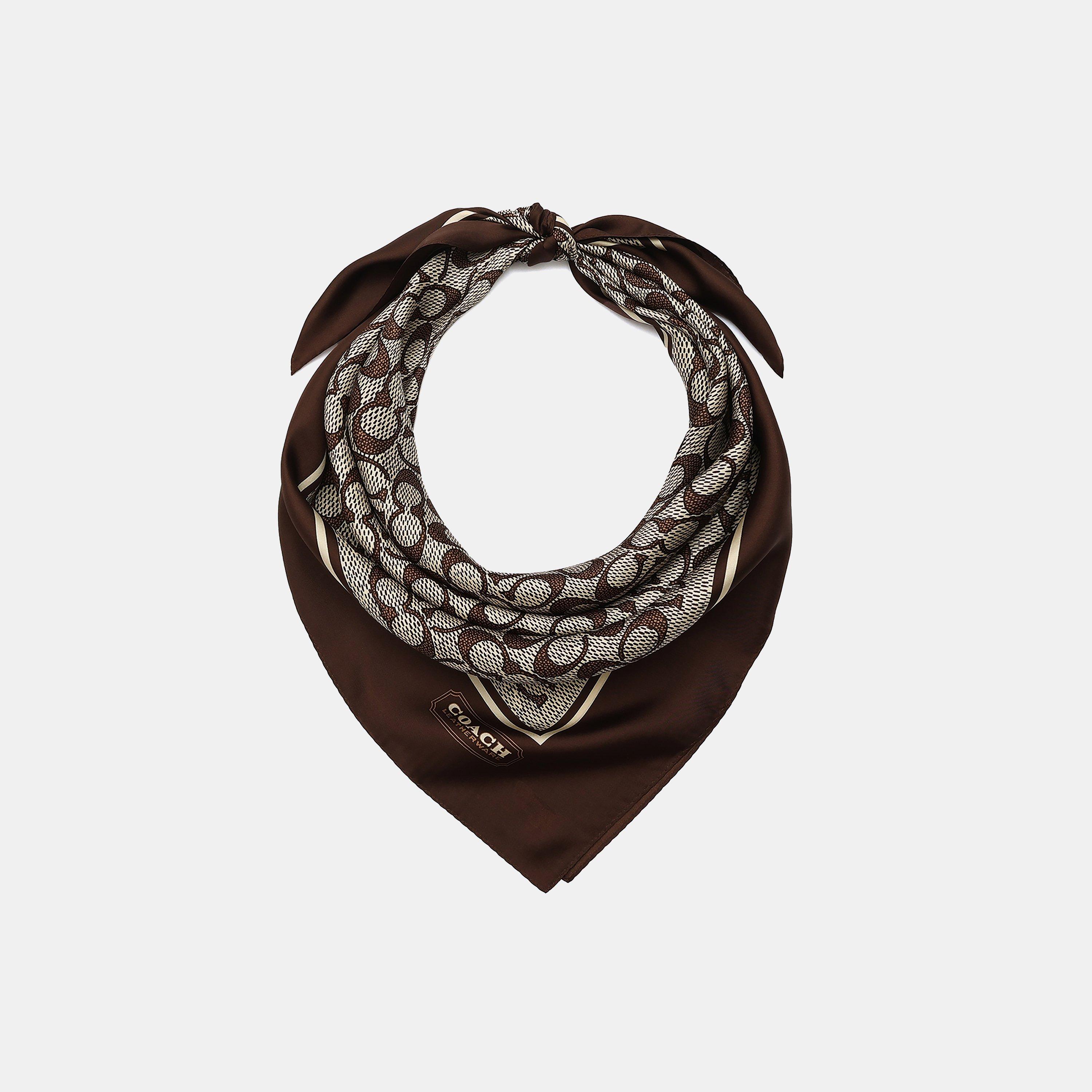 MAPLE - Coach - TEXTURED SIGNATURE C PRINTED SILK SQUARE - 3