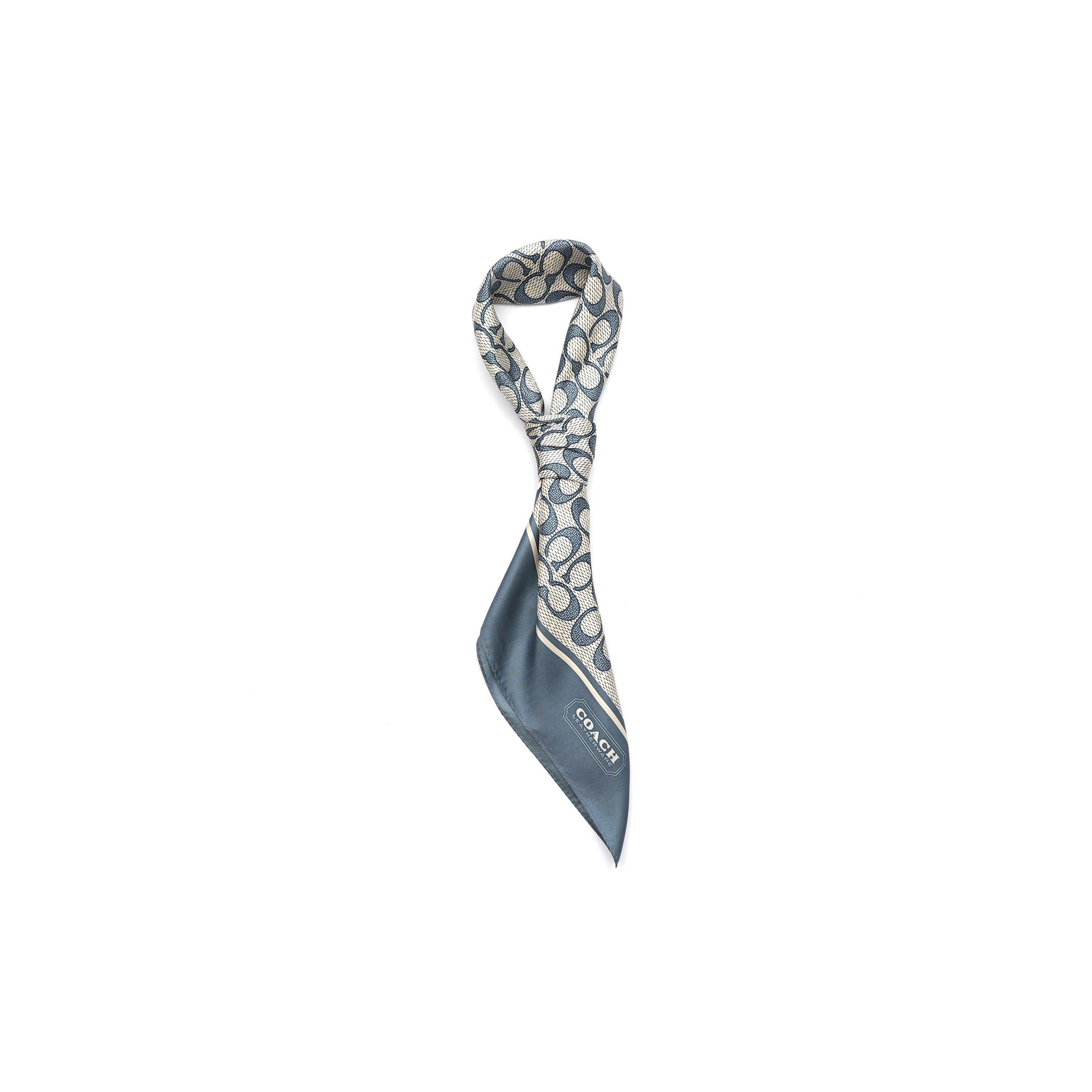 LIGHT DENIM - Coach - TEXTURED SIGNATURE C PRINTED SILK SQUARE - 2