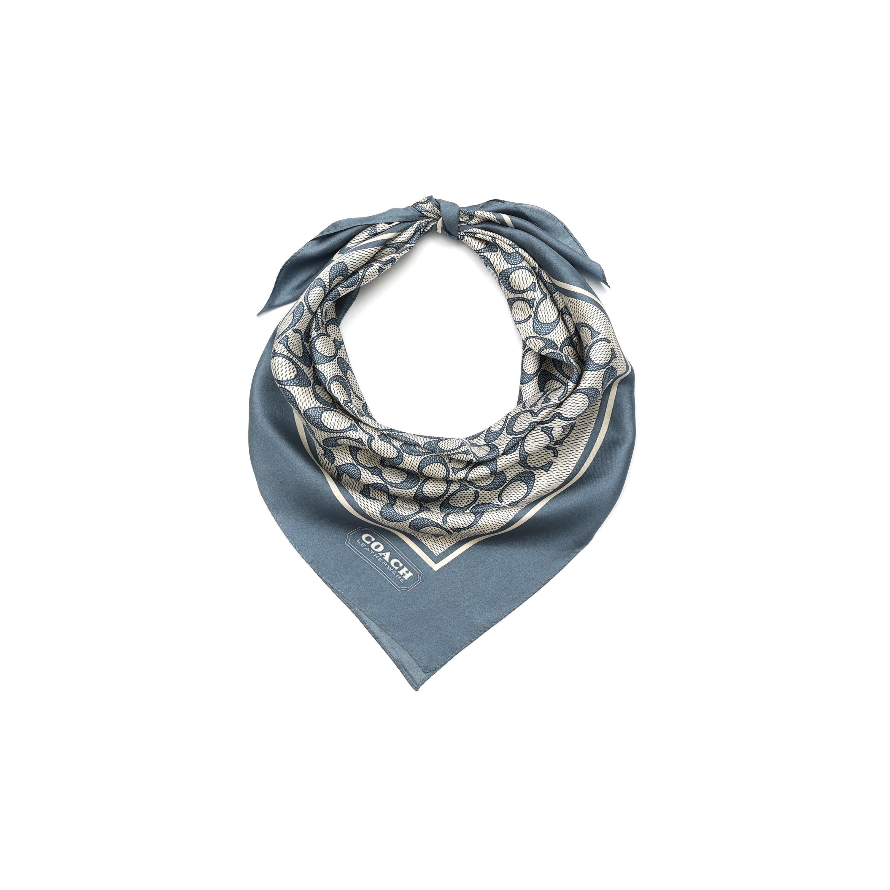 LIGHT DENIM - Coach - TEXTURED SIGNATURE C PRINTED SILK SQUARE - 3