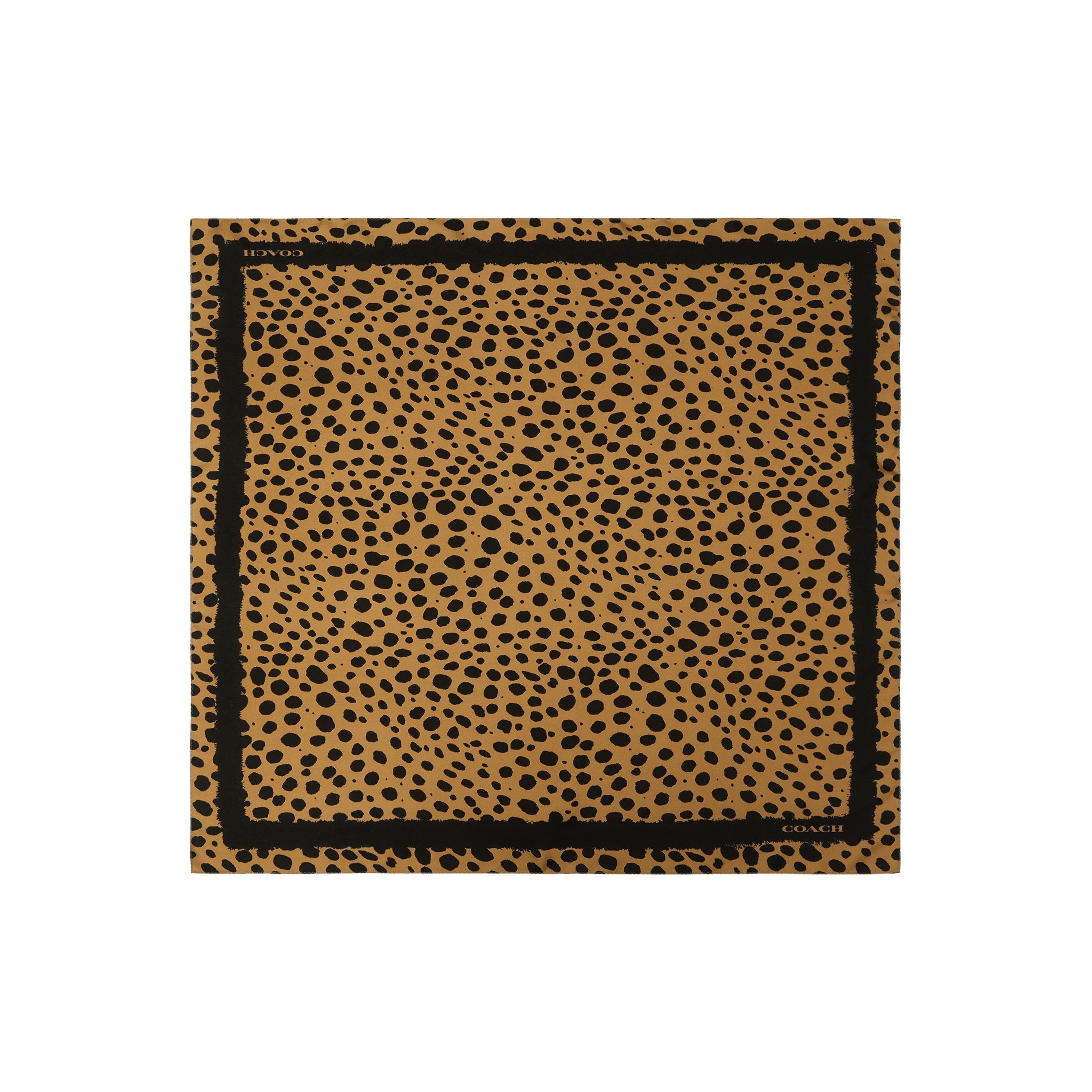 Signature C Printed Silk Square