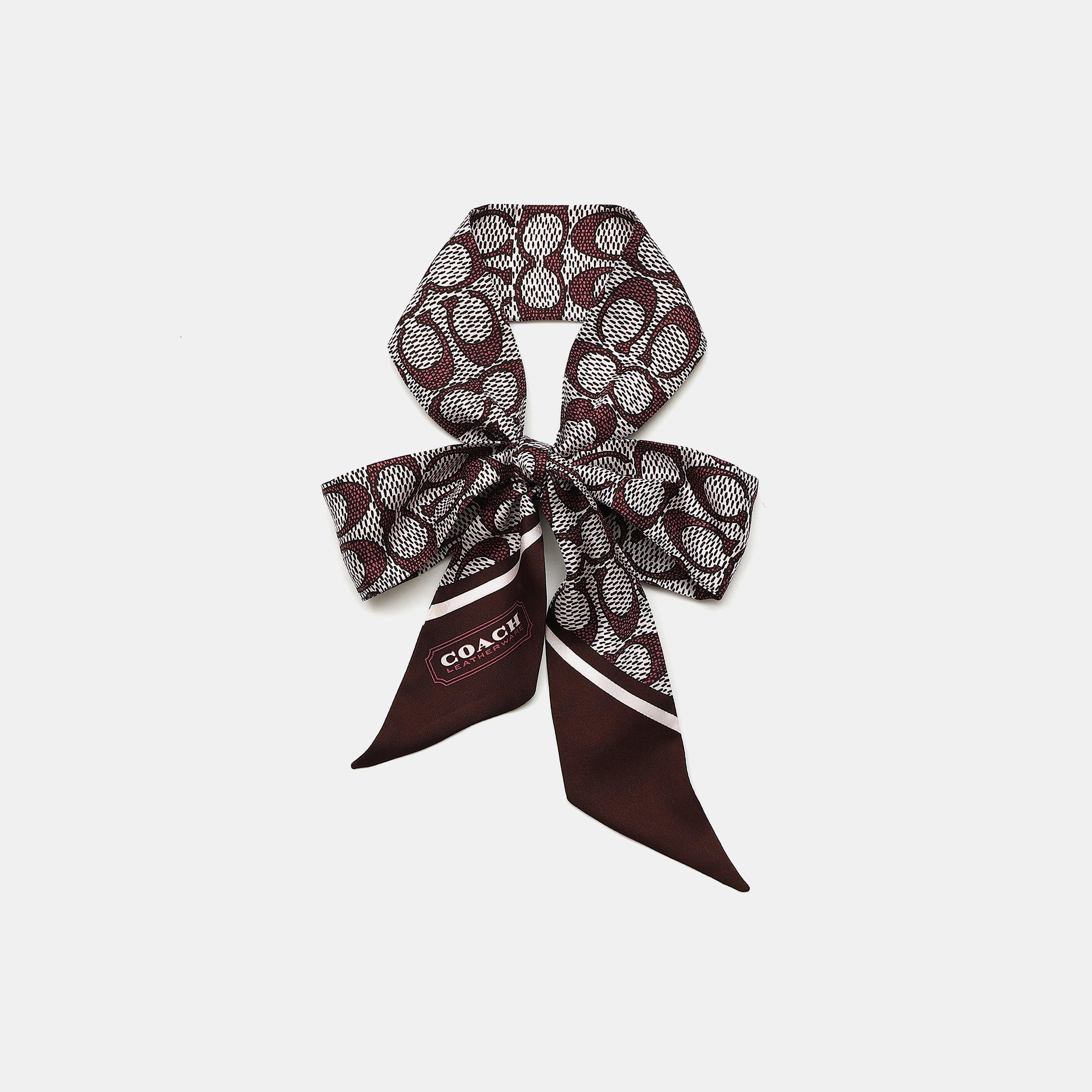 BLACKCURRANT - Coach - TEXTURED SIGNATURE C PRINTED SILK SKINNY - 3