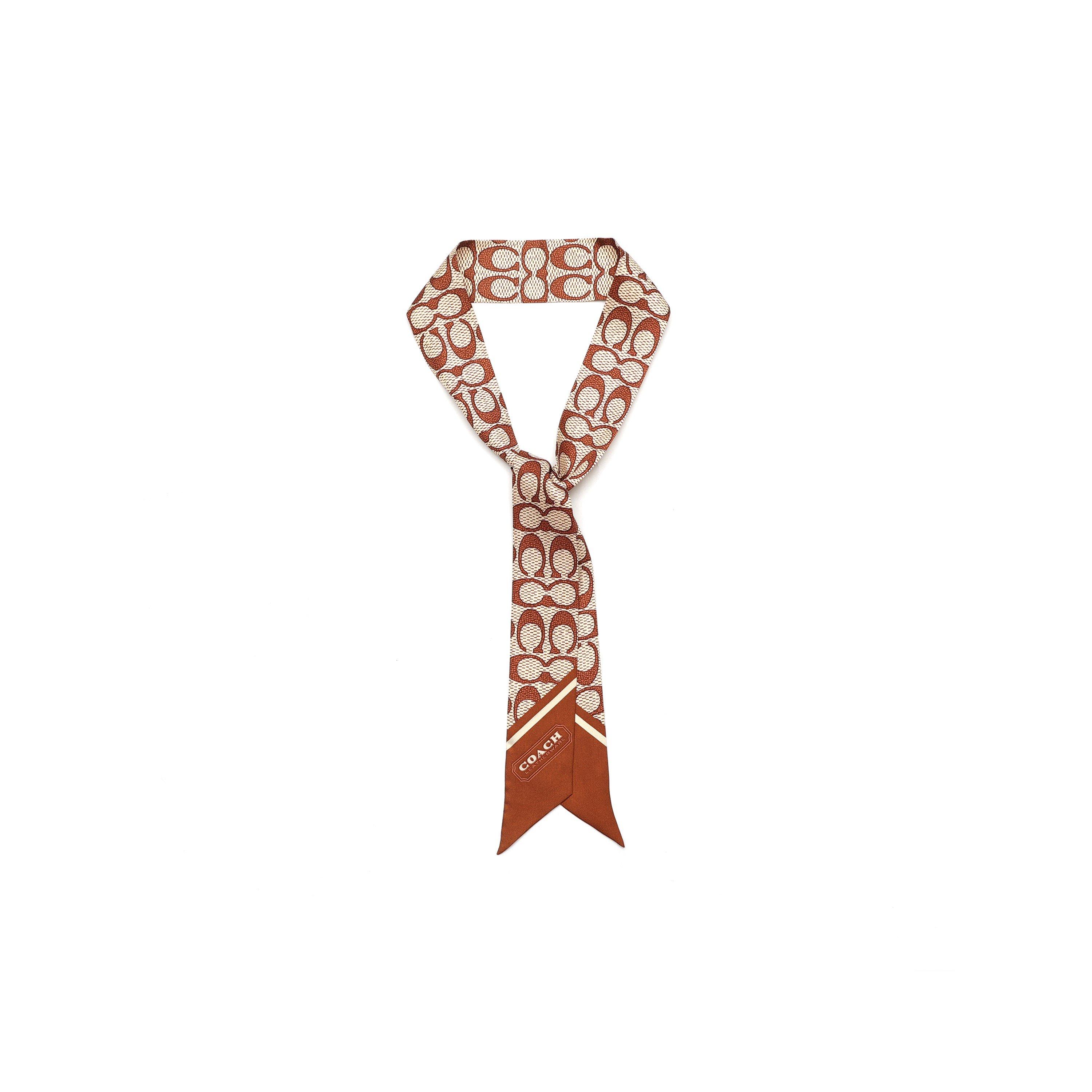 PECAN - Coach - TEXTURED SIGNATURE C PRINTED SILK SKINNY - 3