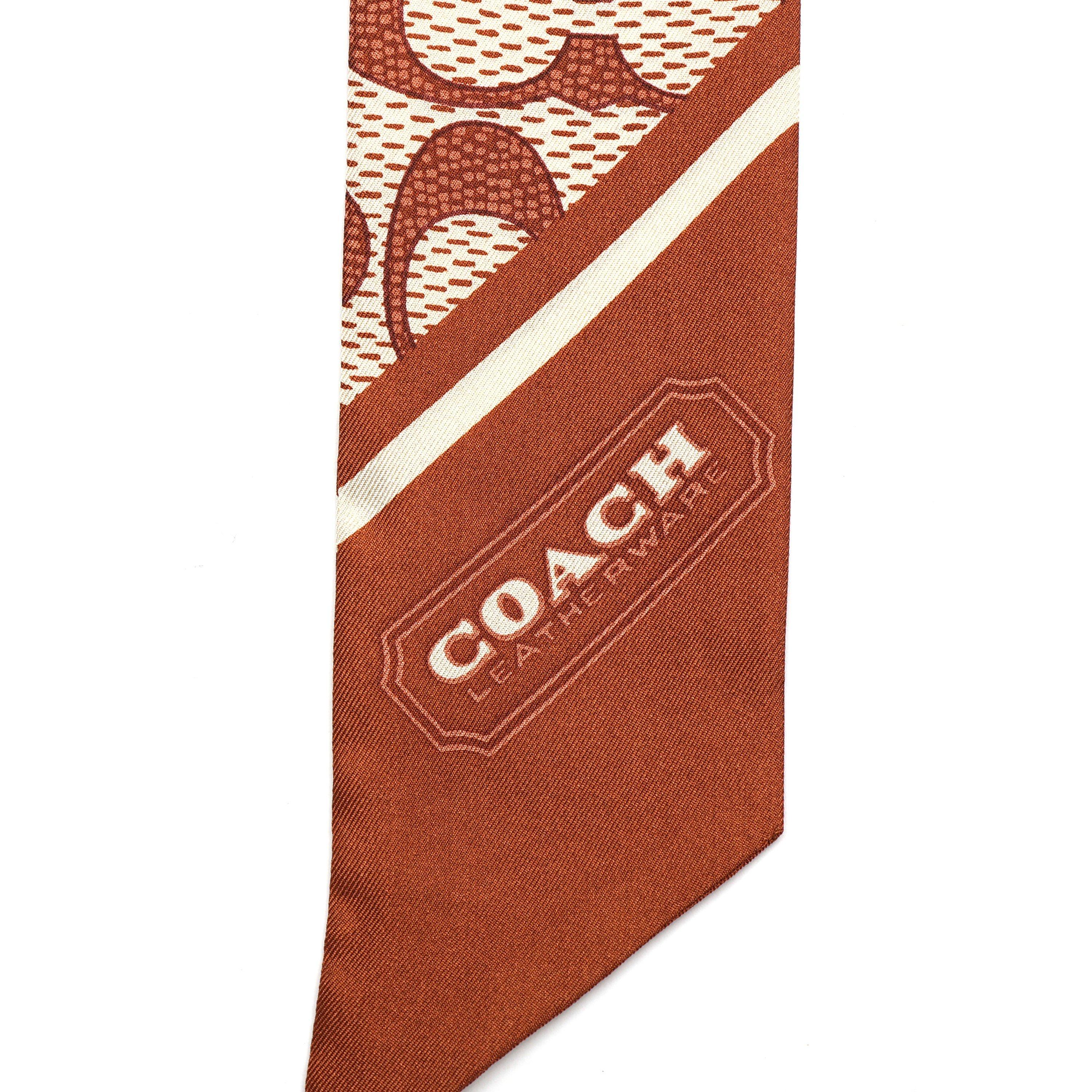 PECAN - Coach - TEXTURED SIGNATURE C PRINTED SILK SKINNY - 4