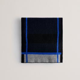 Ted Baker Ted Stripe Wvn Scarf Ld54