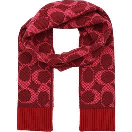 Coach Knit Scarf 99