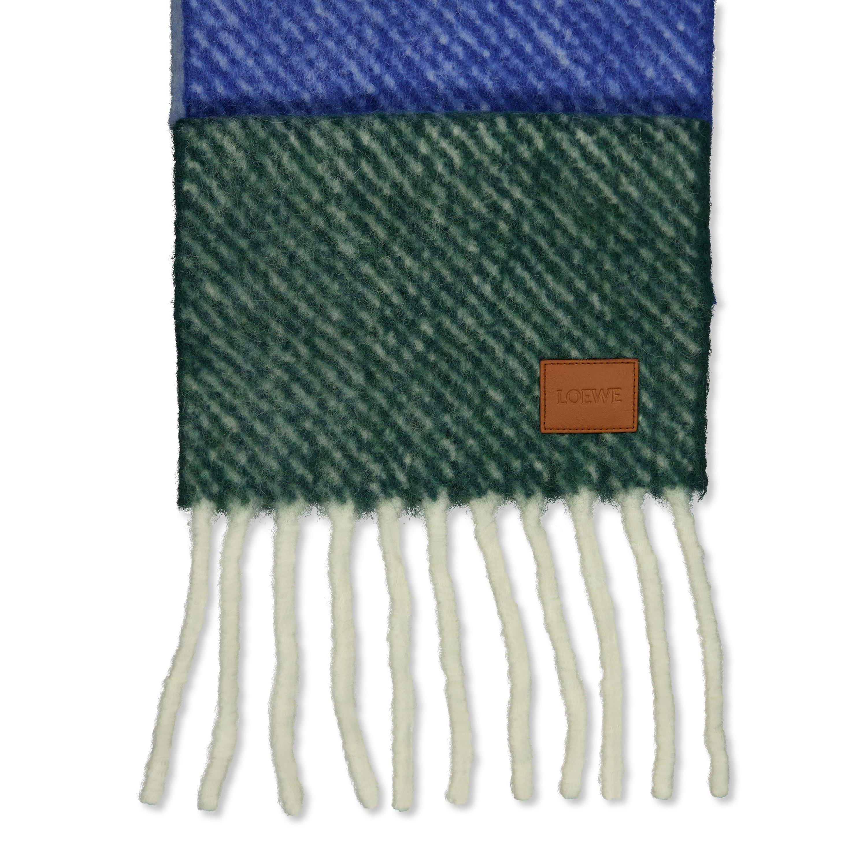 BLUE AND OTHER - Loewe - 27X212 SCARF - 2