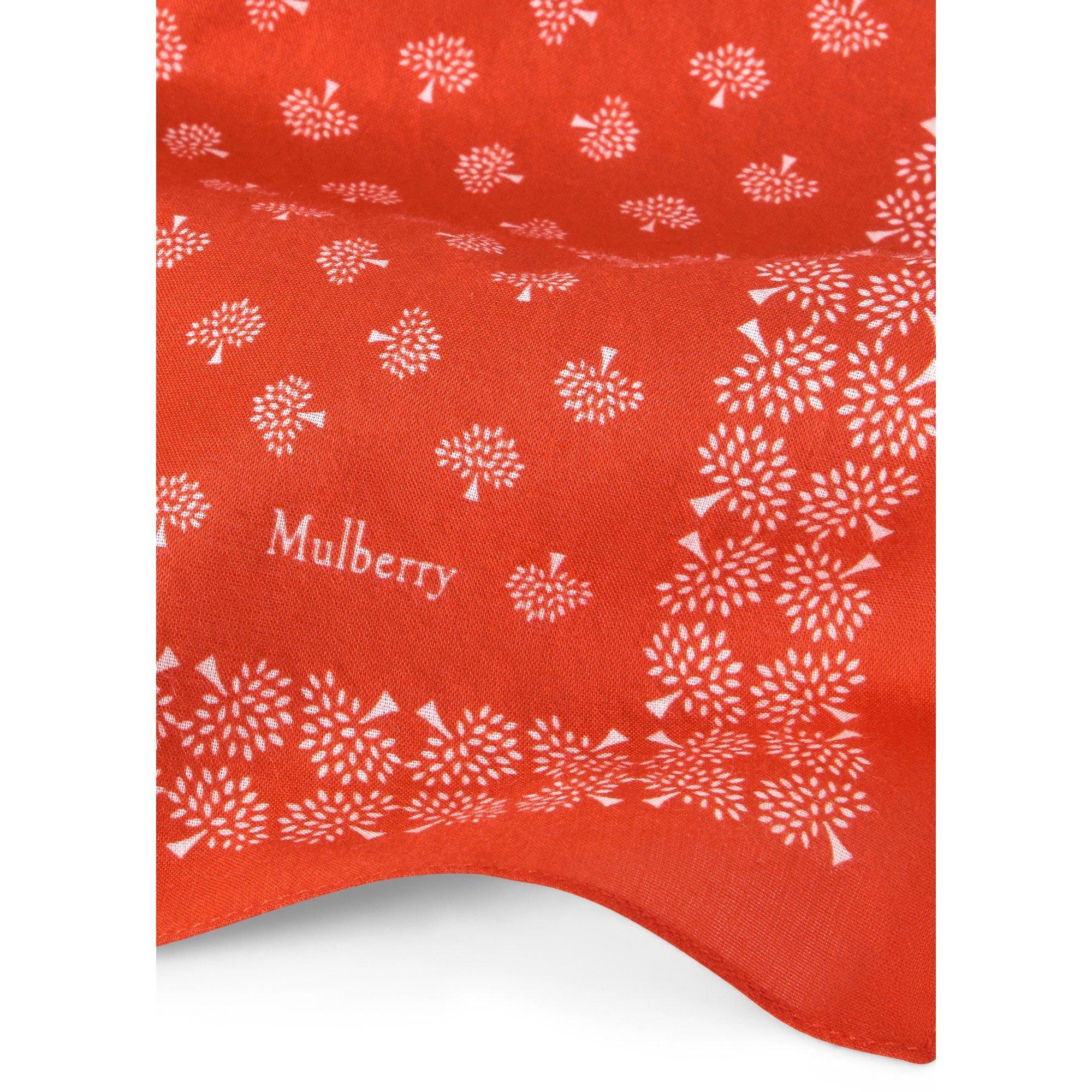 ORANGE - Mulberry - MULBERRY TREE COTTON 55 SCARF - 2