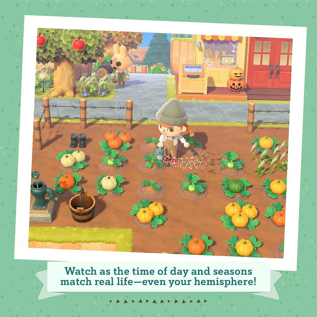 NSW - Nintendo - Animal Crossing: New Horizons - 6