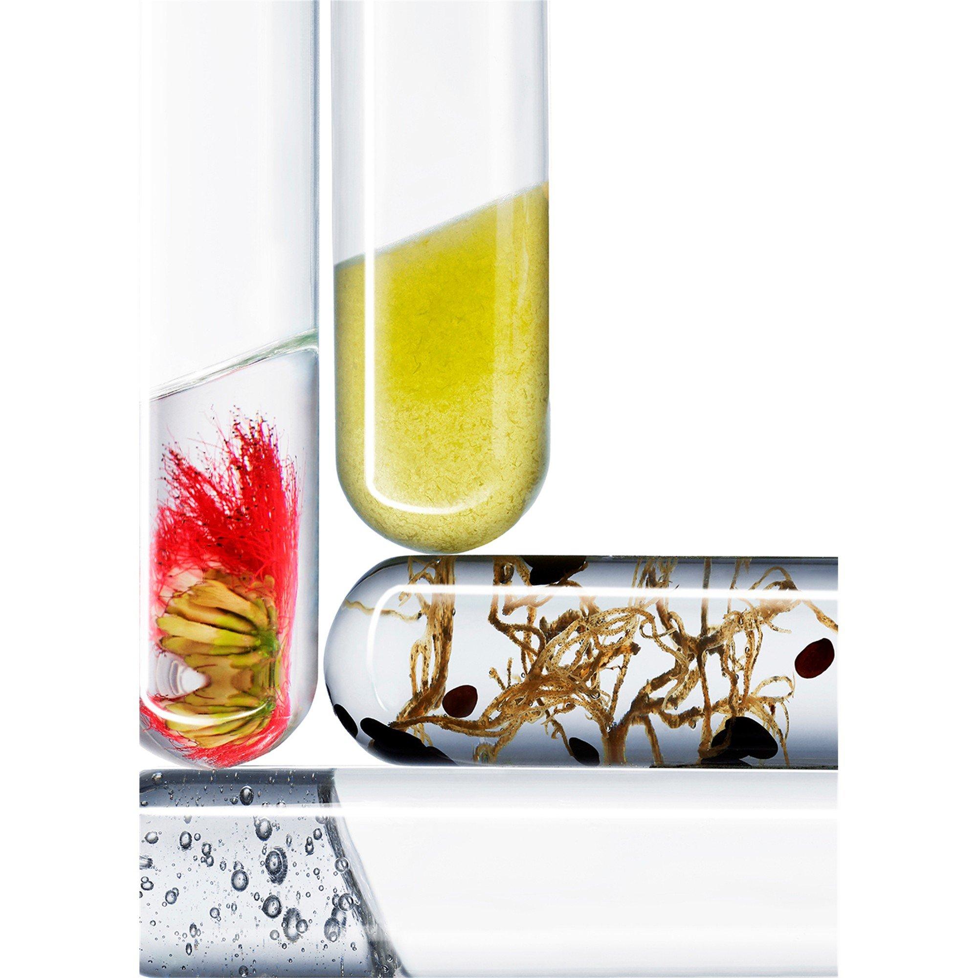 Not Applicable - Noble Panacea - THE EXCPTNL EYE LIFT CNCN - 4
