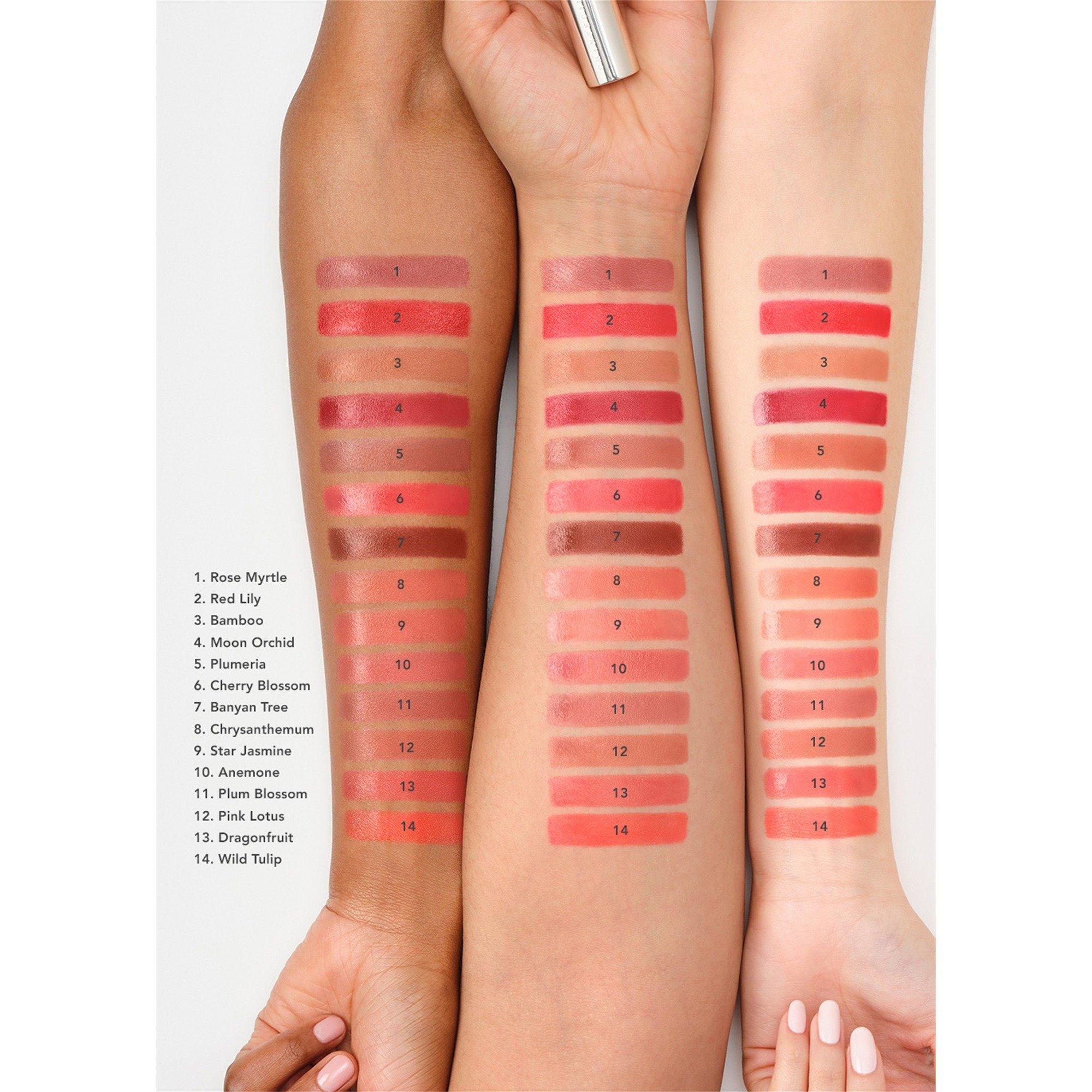 NATURAL 11 - Chantecaille - Women's Lip Crème Lipstick - 4