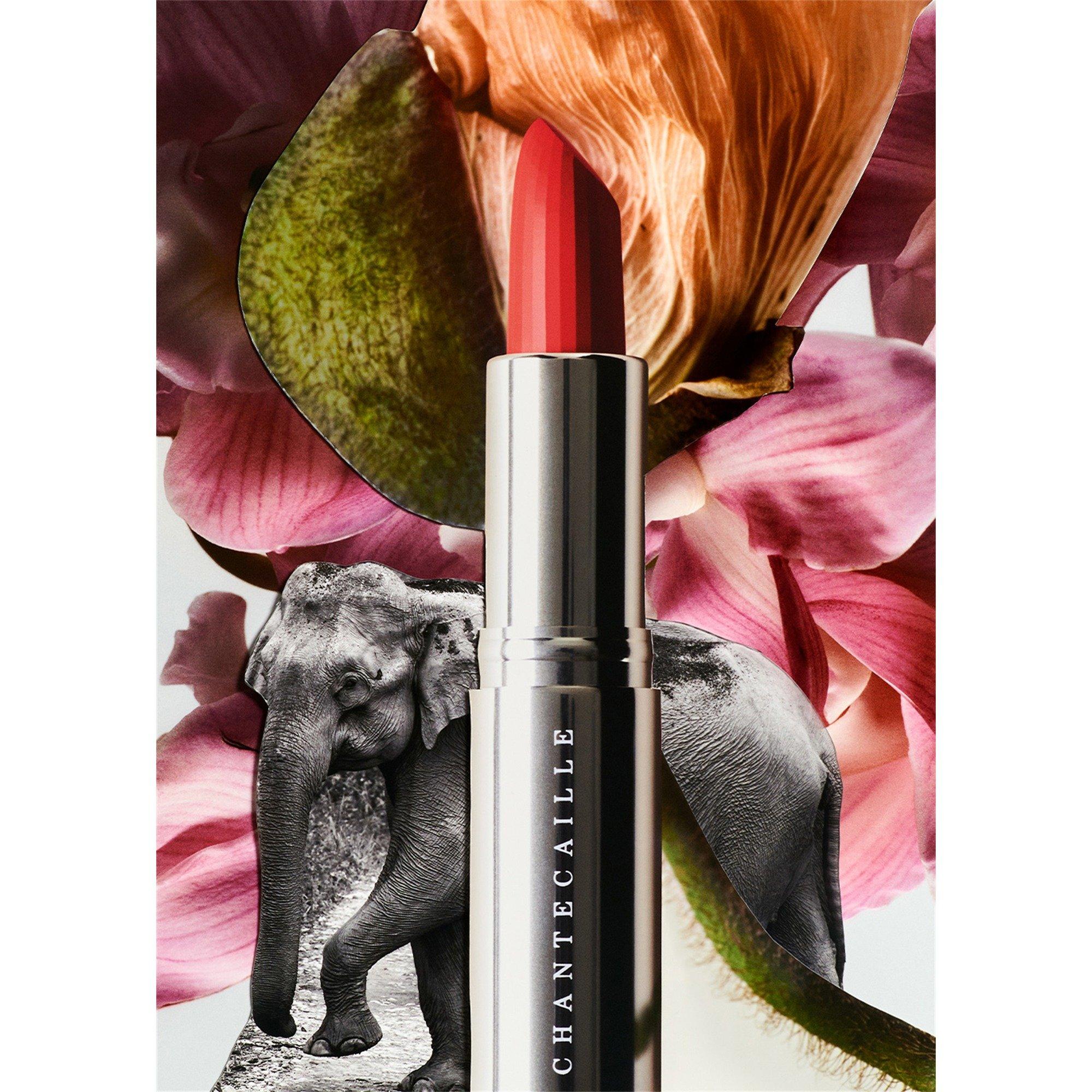 NATURAL 11 - Chantecaille - Women's Lip Crème Lipstick - 5