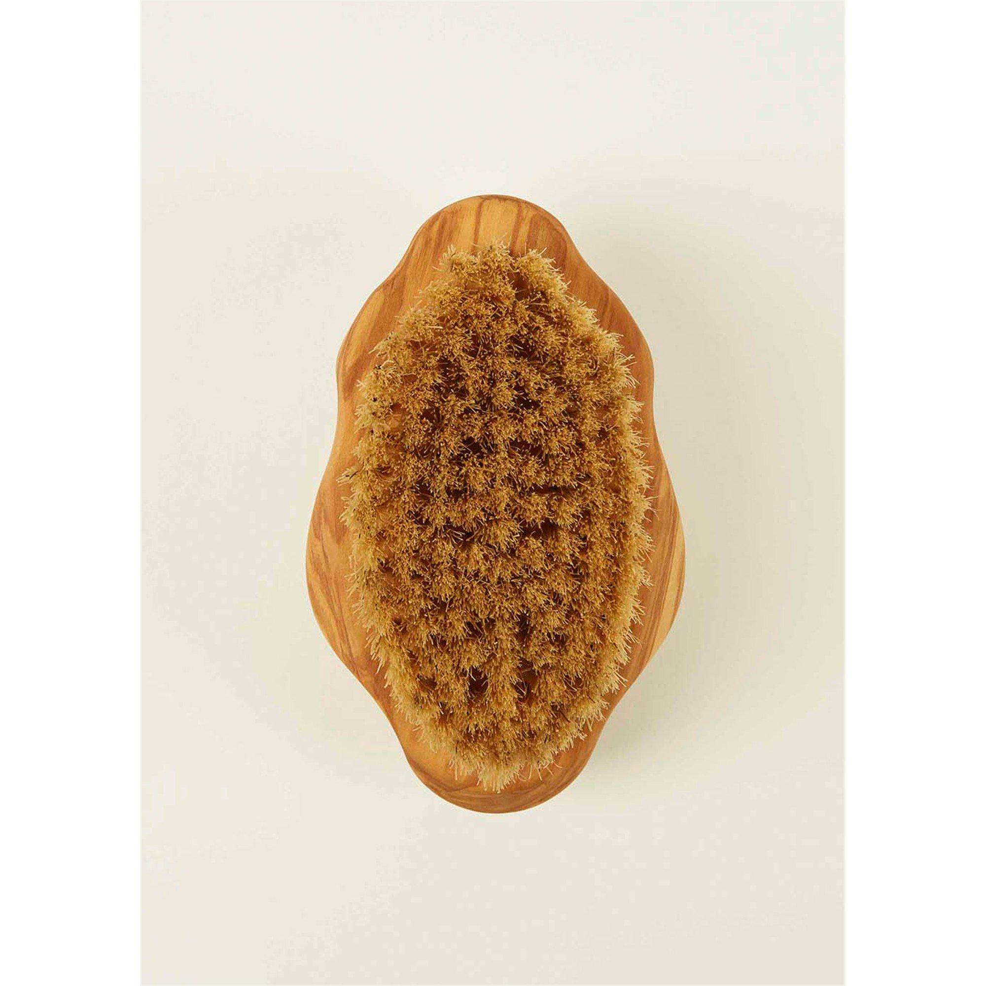 Not Applicable - Altesse Studio - VG26 Body Brush Normal Sk - 2