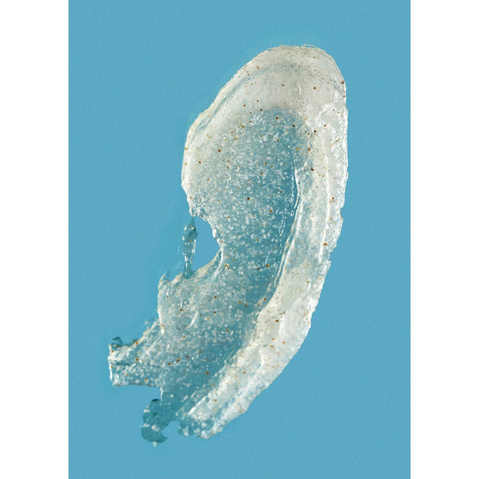 Not Applicable - Loewe - LOEWE Tomato Leaves Body - 2