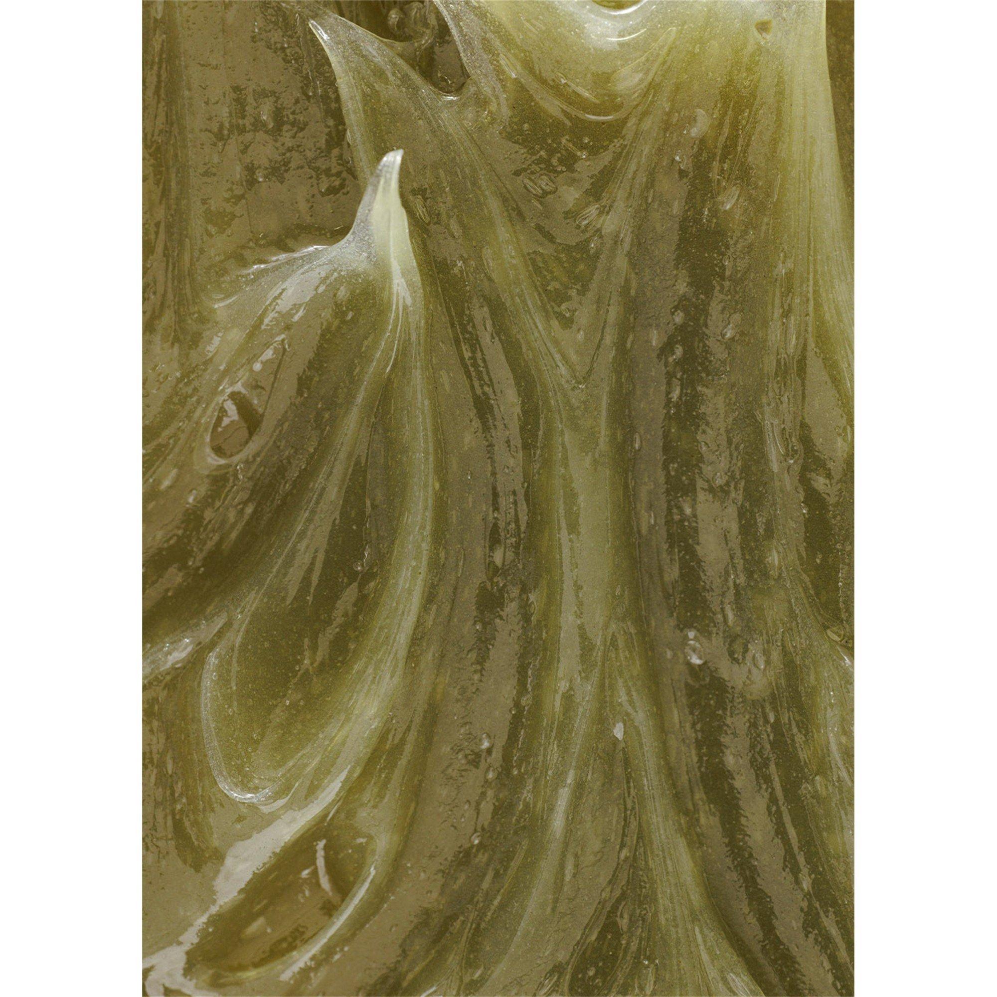 Not Applicable - Seed to Skin - The Divine Cleanse - 6