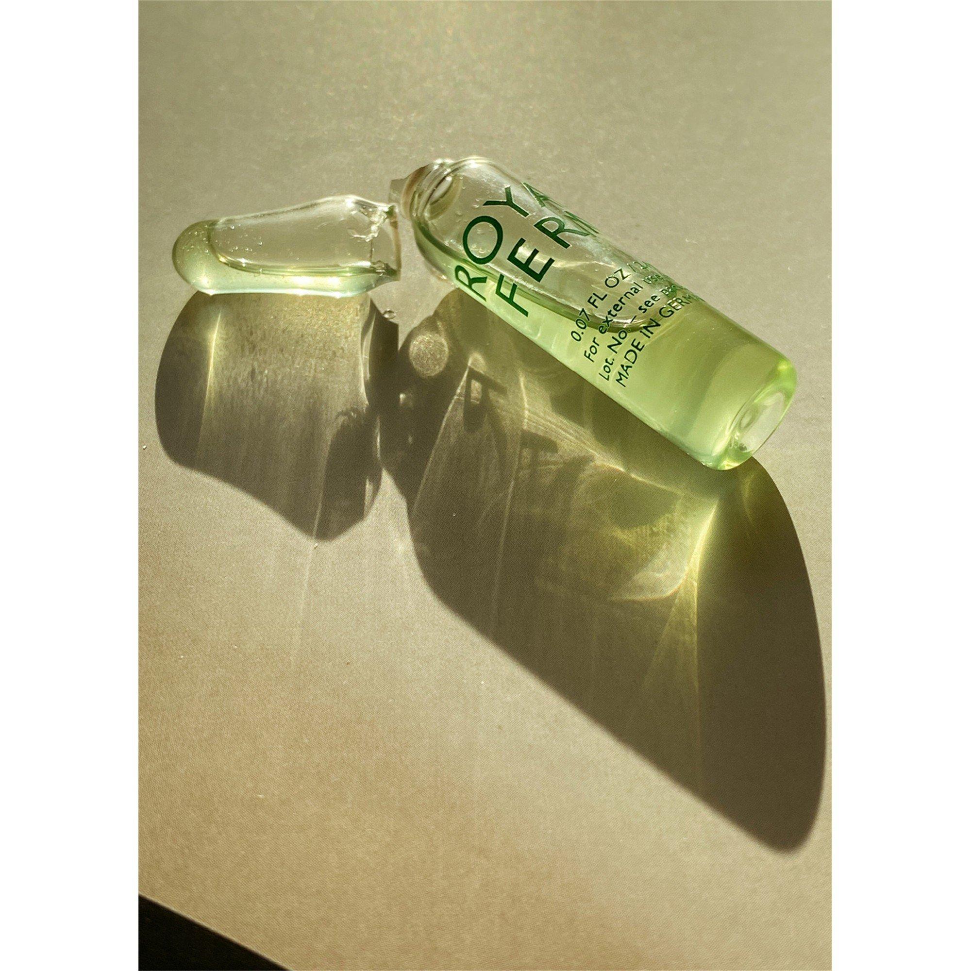 Not Applicable - Royal Fern - ILLUMINATING AMPOULES - 3