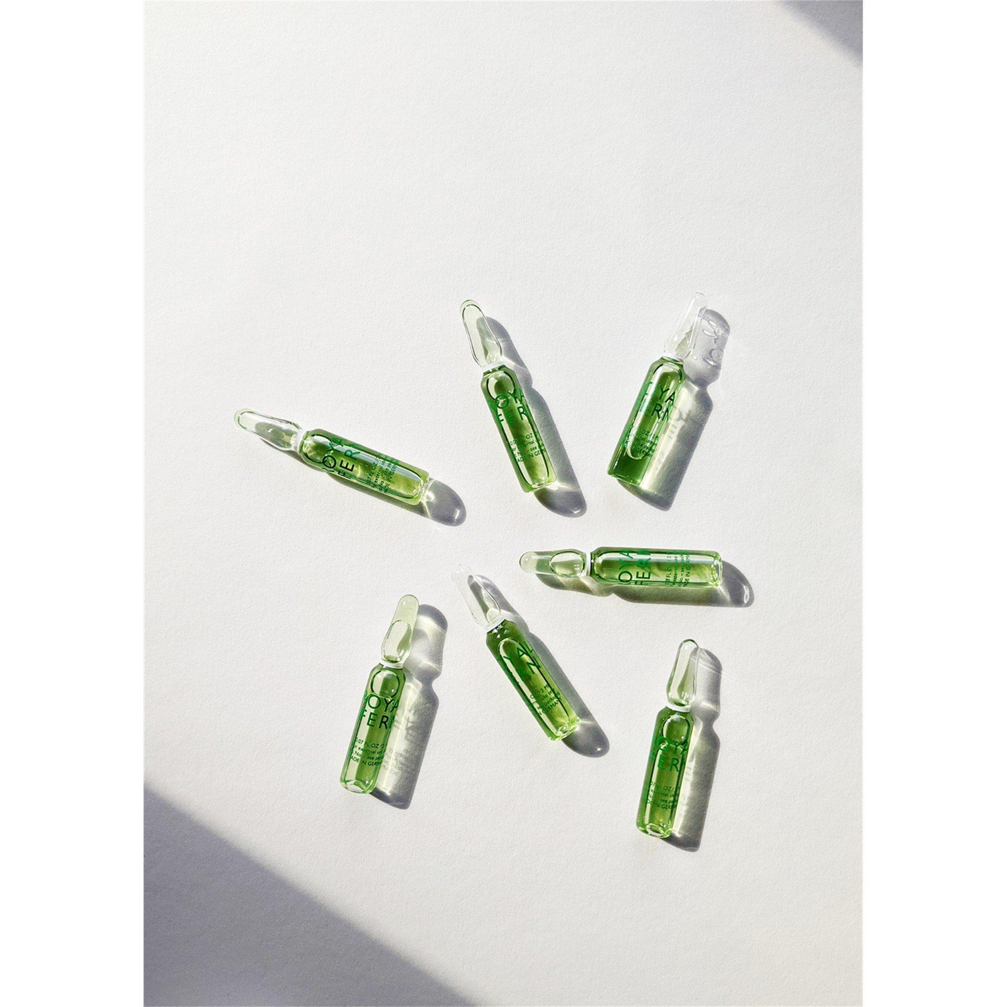 Not Applicable - Royal Fern - ILLUMINATING AMPOULES - 4