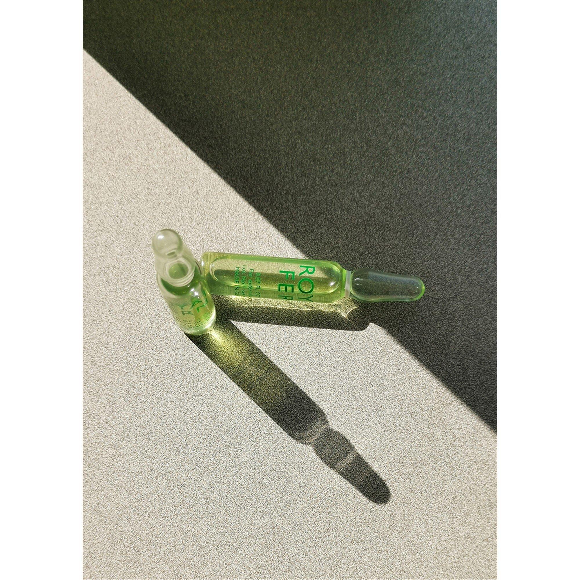 Not Applicable - Royal Fern - SKIN PERFECTING ESSENCE - 6