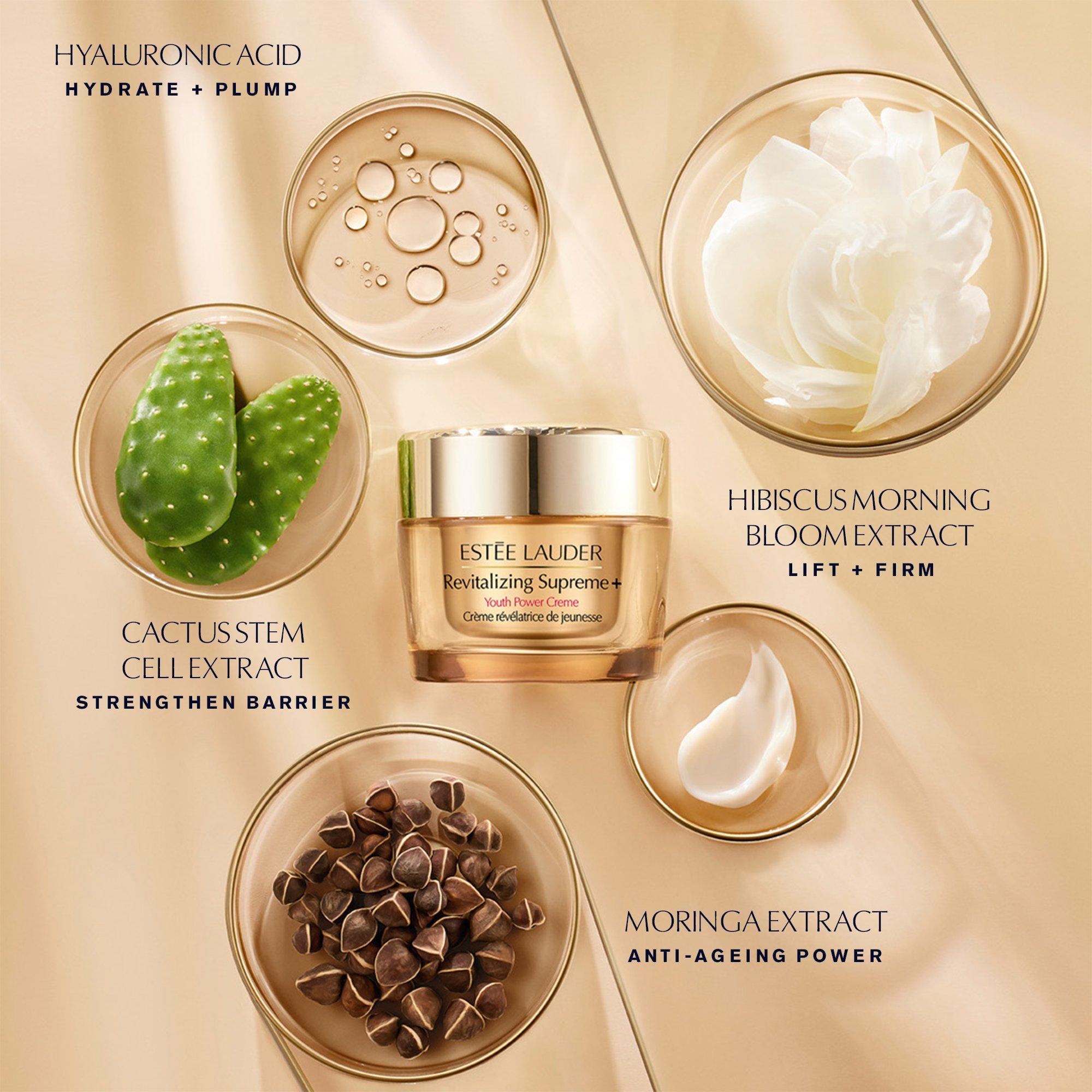 None - Estee Lauder - Revitalizing Supreme+ Moisturiser Refill Skincare Gift Set - 5
