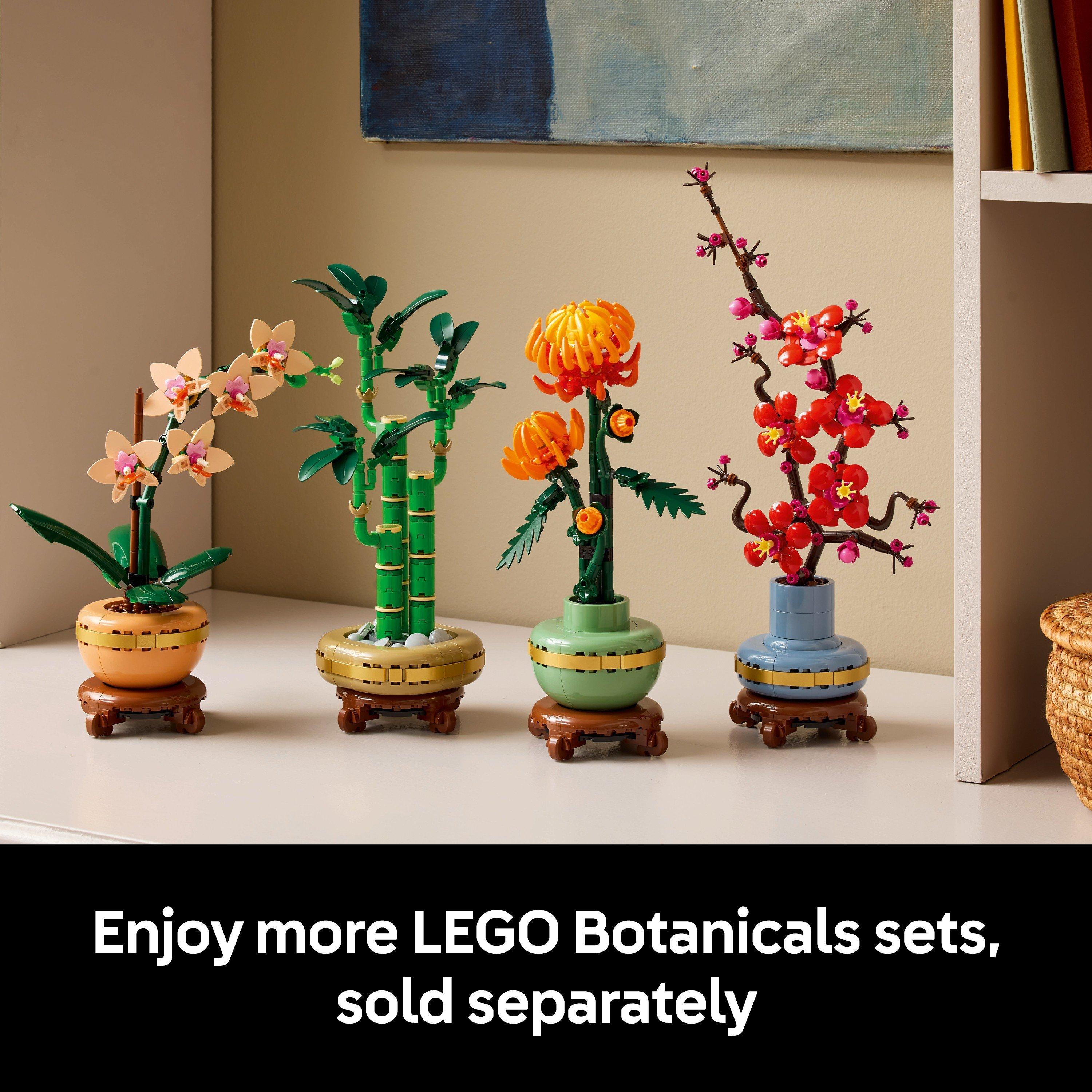 Botanicals - LEGO - Botanicals Mini Orchid Faux Plant Set 10343 - 8