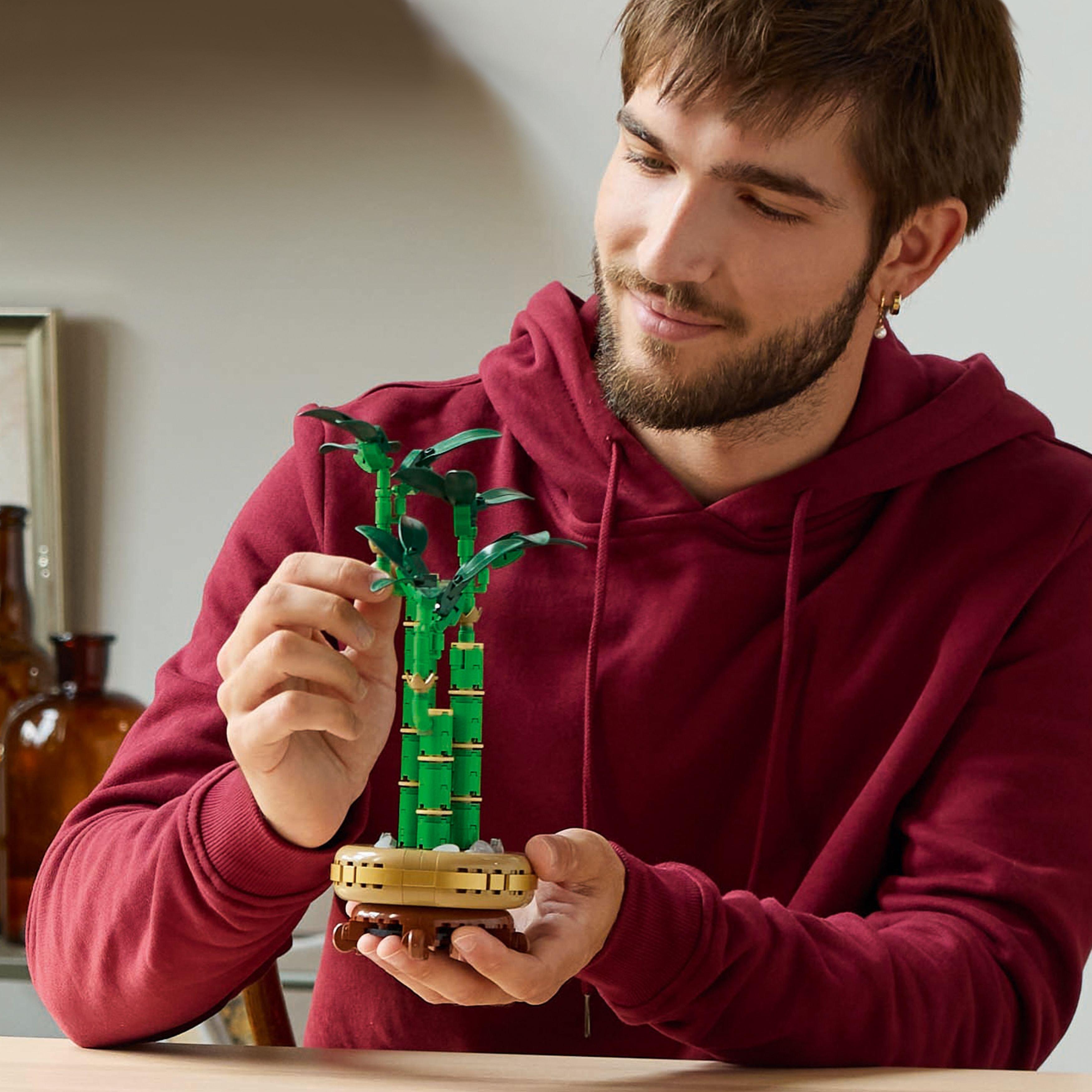 Botanicals - LEGO - LEGO Botanicals Lucky Bamboo Faux Plant Set 10344 - 4