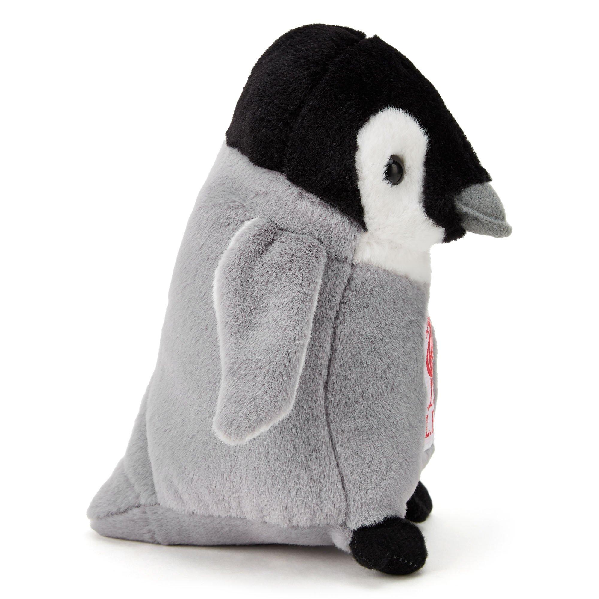 Liverpool FC - Team - Football Officially Licensed Penguin 22 cm - 3