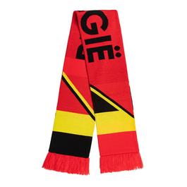 Team Euros 2024 Football Scarf