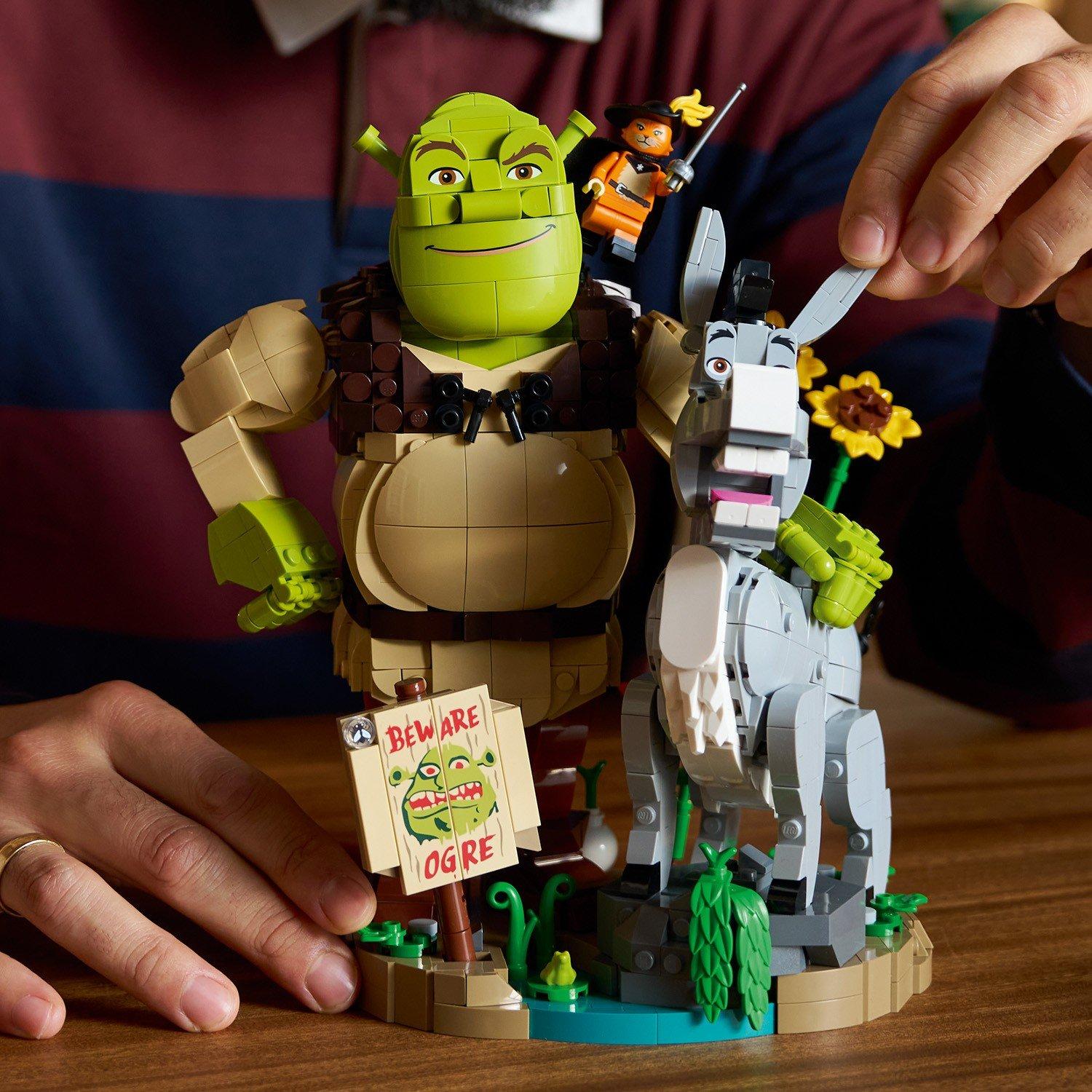 ShrekDonkeyPnB - LEGO - LEGO 72423 Shrek 64 - 10