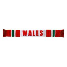 Team Scarf