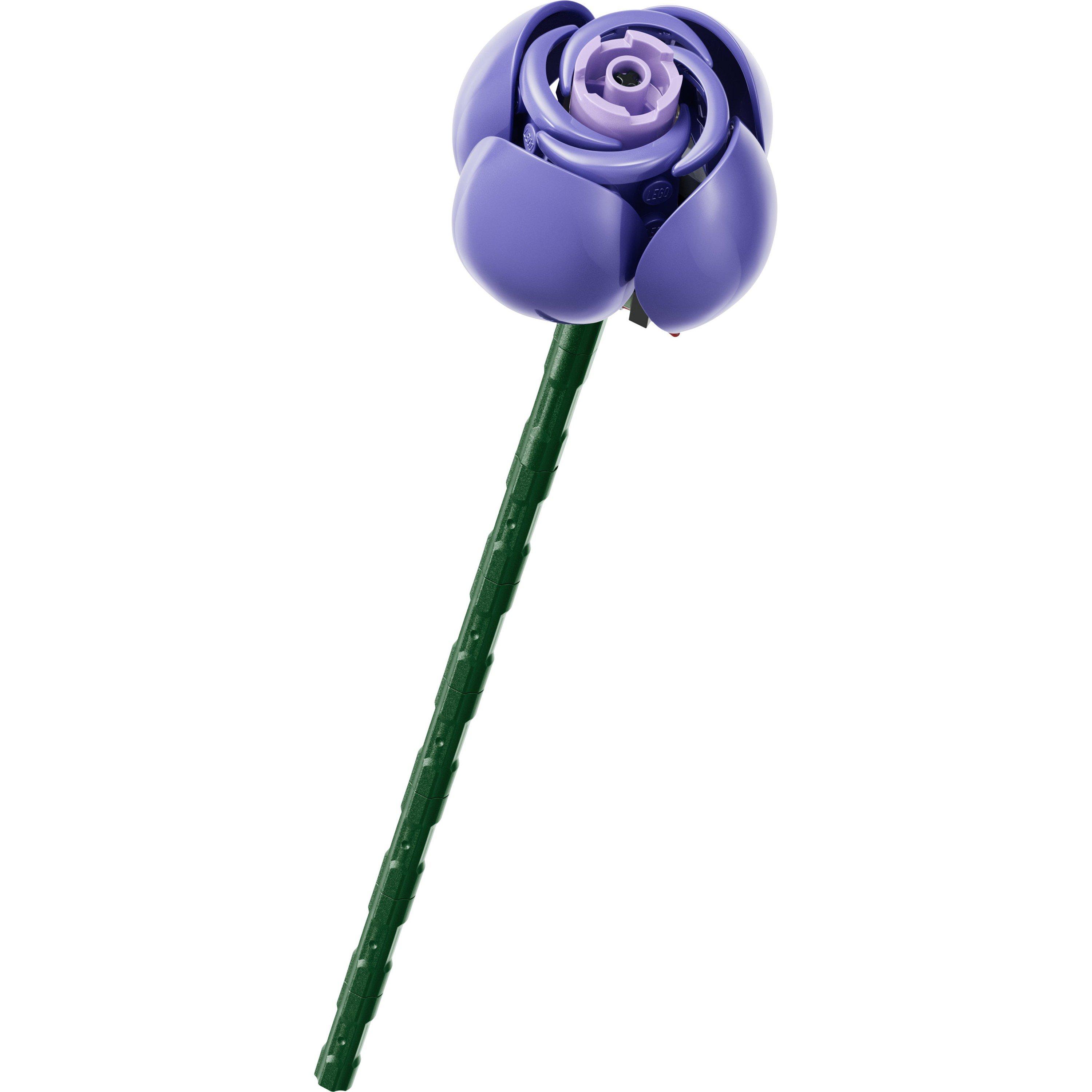 Olivia Rodrigo - LEGO - LEGO 11507 BOTANICALS 64 - 6