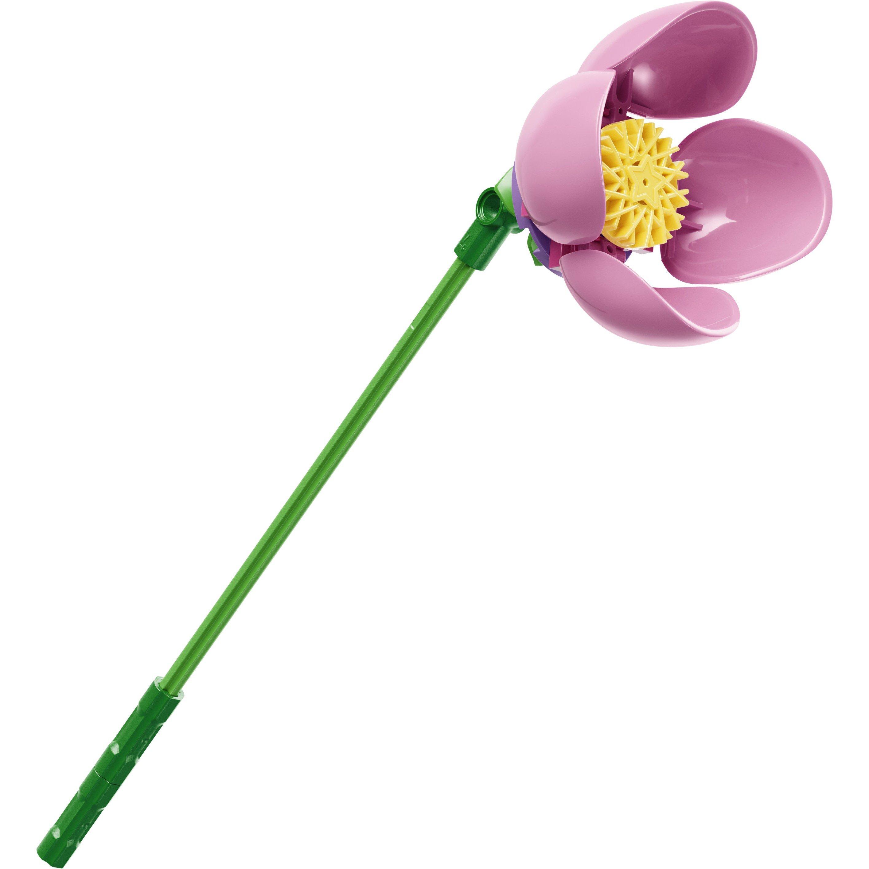 Olivia Rodrigo - LEGO - LEGO 11507 BOTANICALS 64 - 7