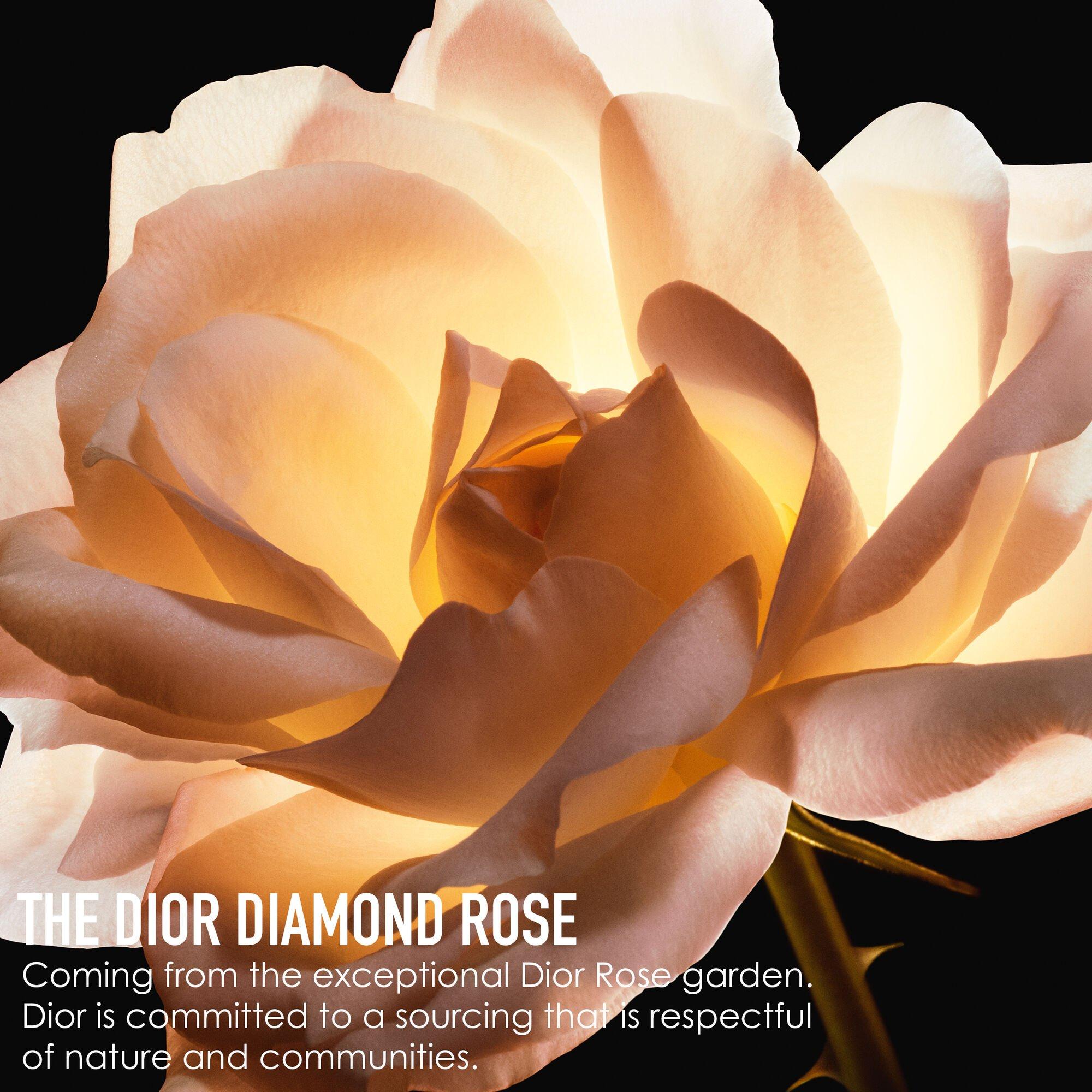 Clear - DIOR - Prestige Revitalising Skincare Gift Set - 3