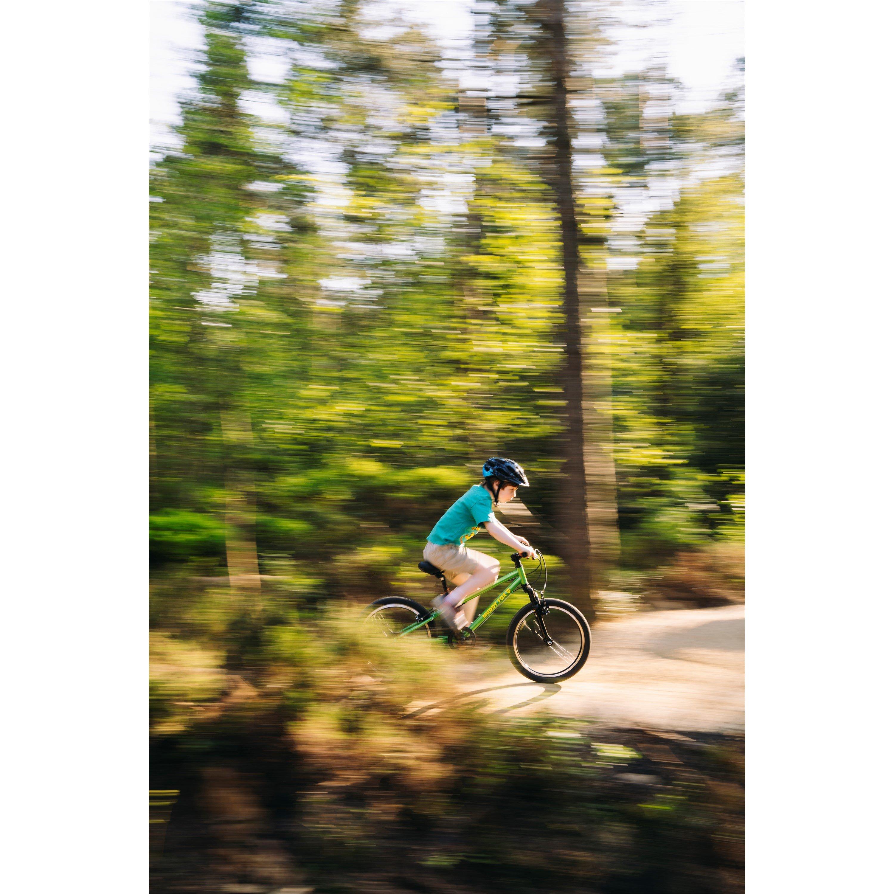 Green - Muddyfox - Trail 20 inch Bike Junior - 12