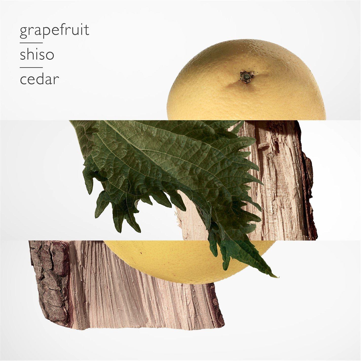 Terre - Hermes - Terre dHermes Pure Perfume - 3