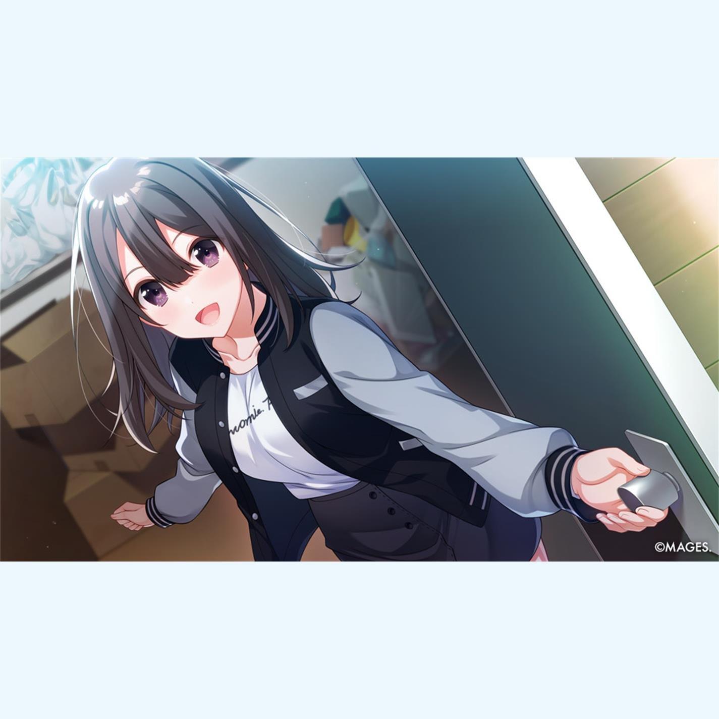 Nintendo Switch - Pqube - SINce Memories: Off The Starry Sky - 3