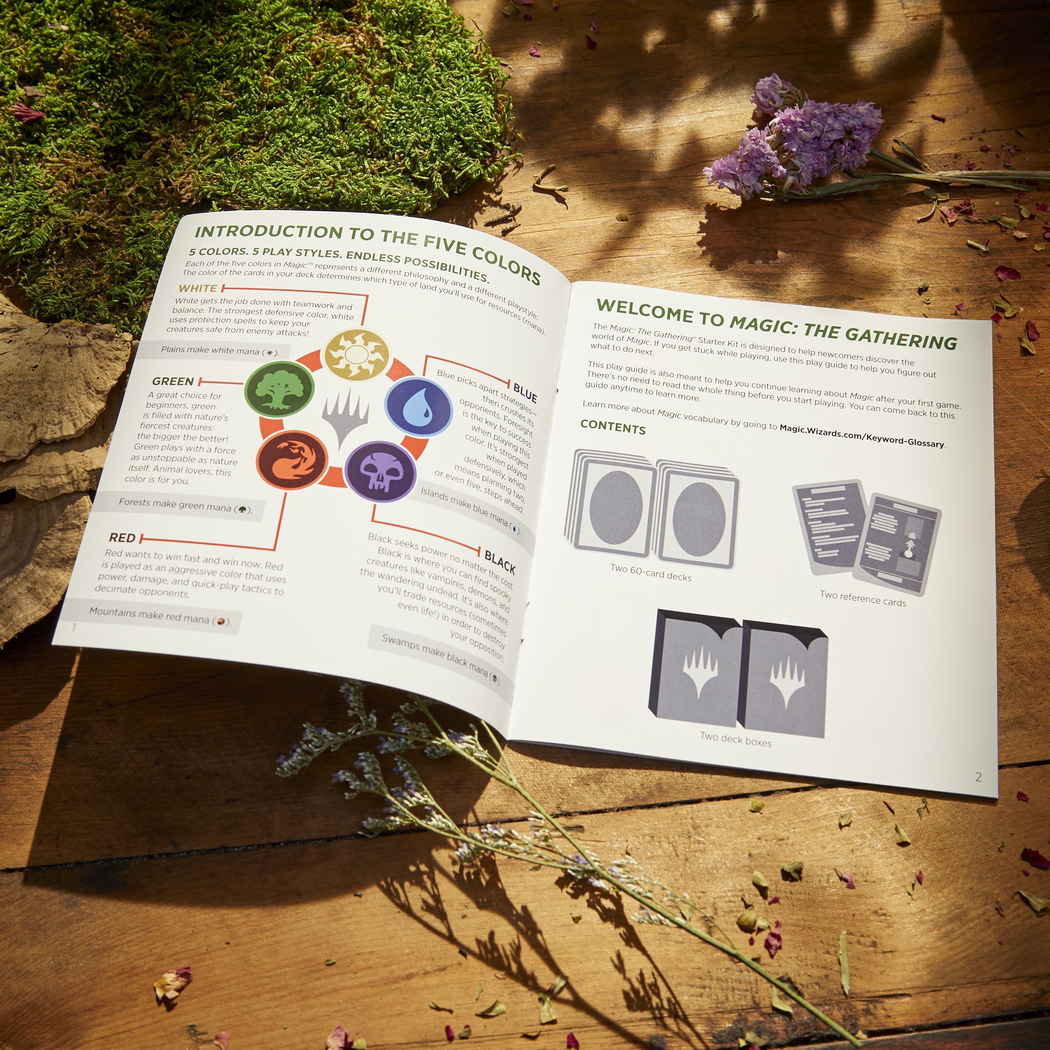 None - Magic the Gathering - MTG: Bloomburrow Starter Kit - 5