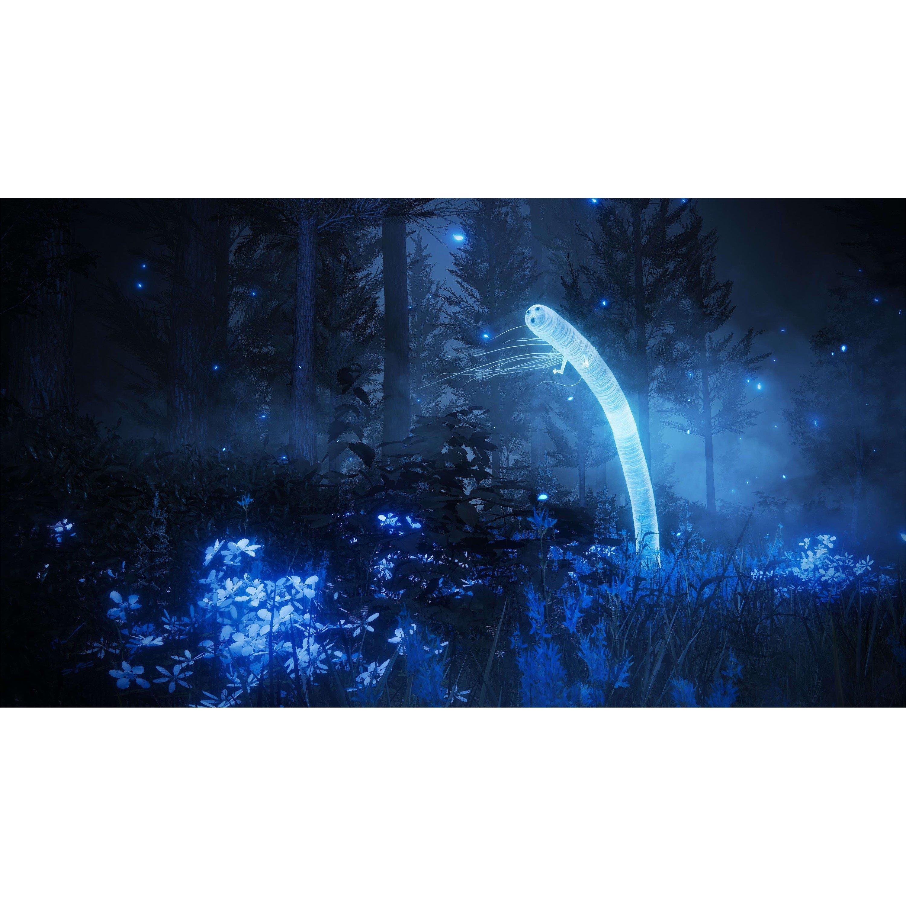 PS5 - Bandai Namco Entertainment - Elden Ring: Shadow of the Erdtree Collectors Ed - 8