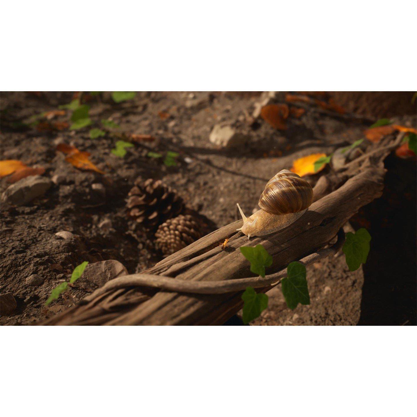 Xbox Series - U and I Entertainment - Empire of the Ants Limited Edition - 3