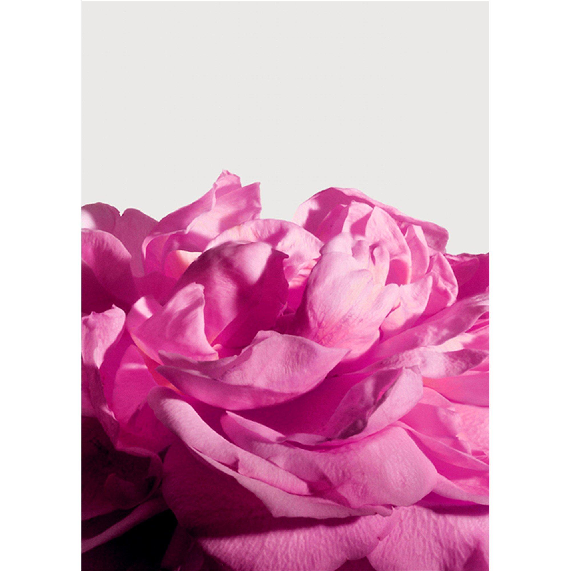 Not Applicable - Matiere Premiere - RADICAL ROSE EXT 100ML - 4