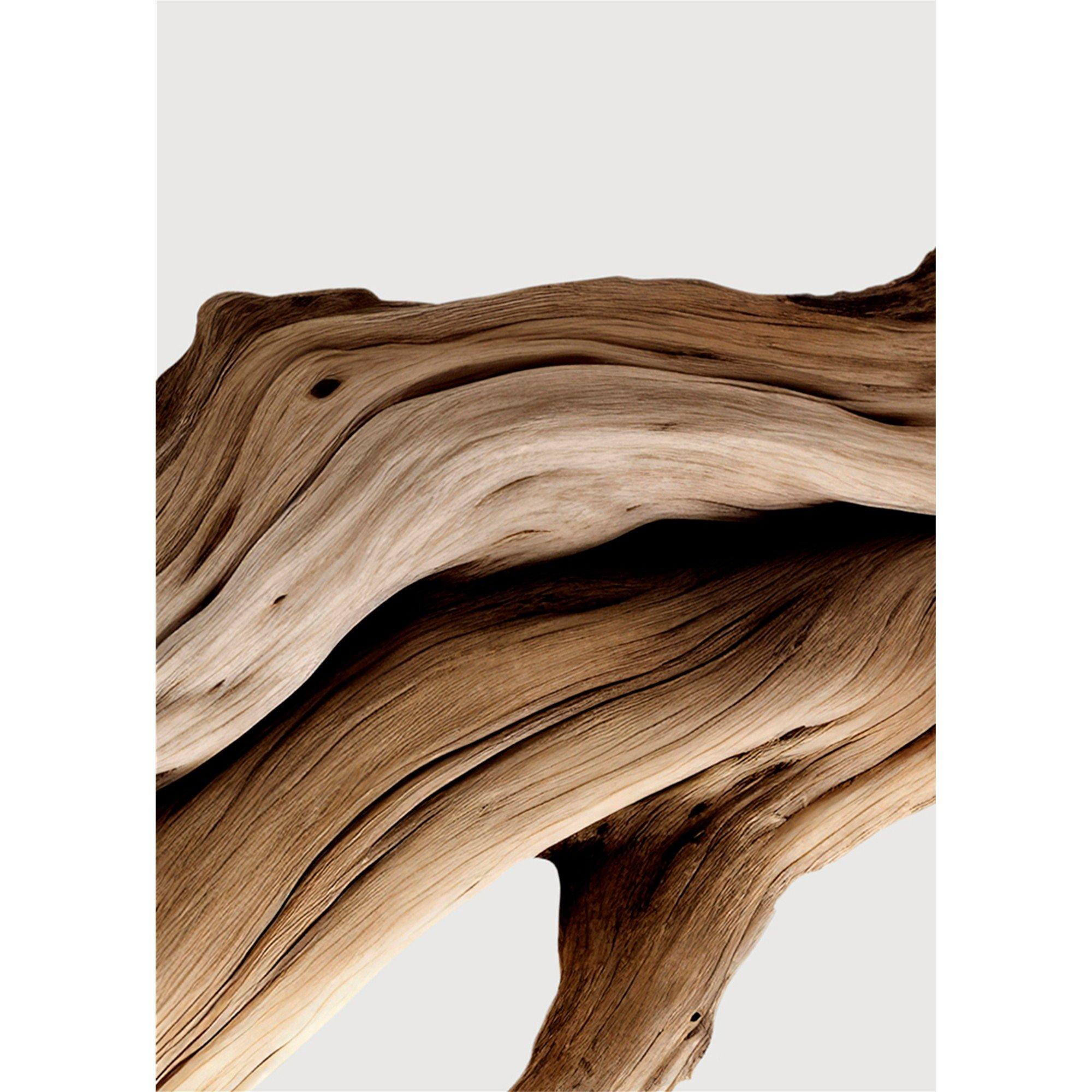 Not Applicable - Matiere Premiere - SANTAL AUSTRAL EXT 100ML - 4