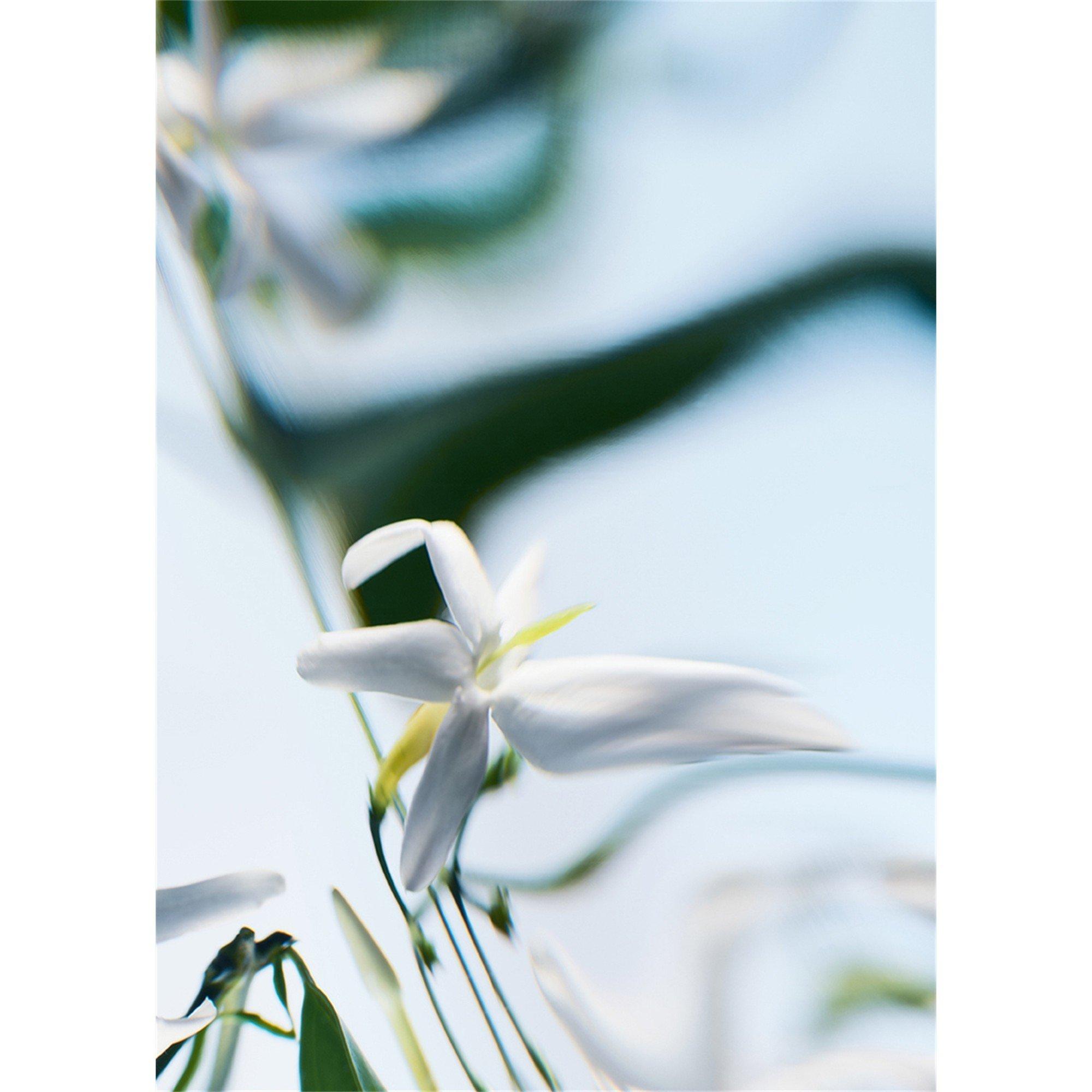 Not Applicable - Byredo - Blanche Absolu de Parfum - 5