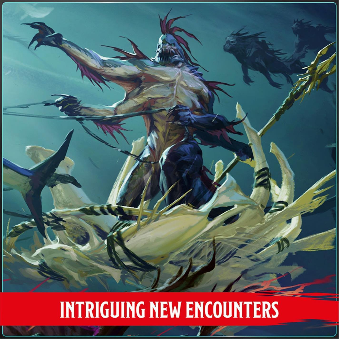 None - Dungeons and Dragons - Dungeons & Dragons Monster Manual (2025) - 5